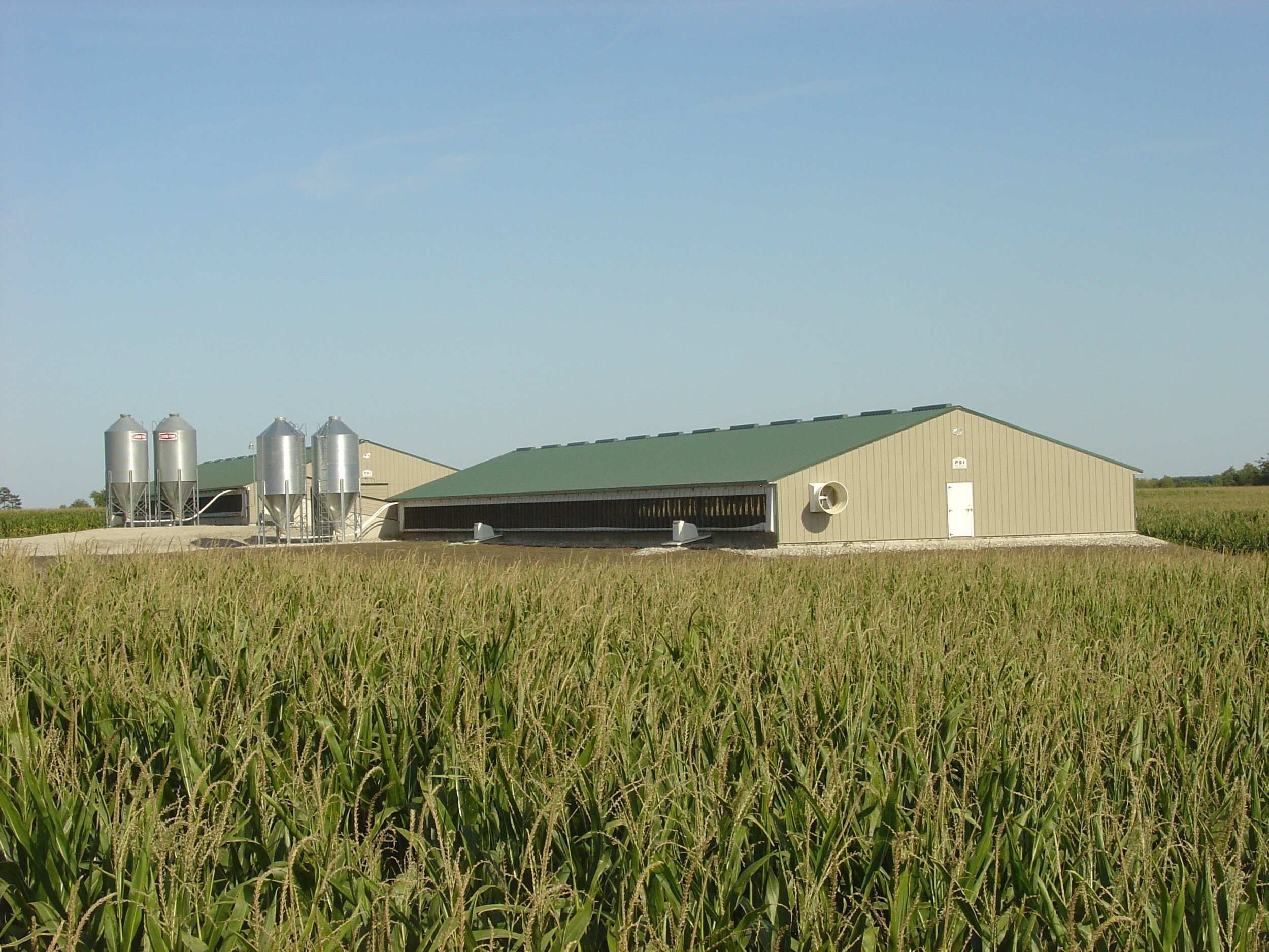 Hog_Pole_Barn_Building_217809.JPG