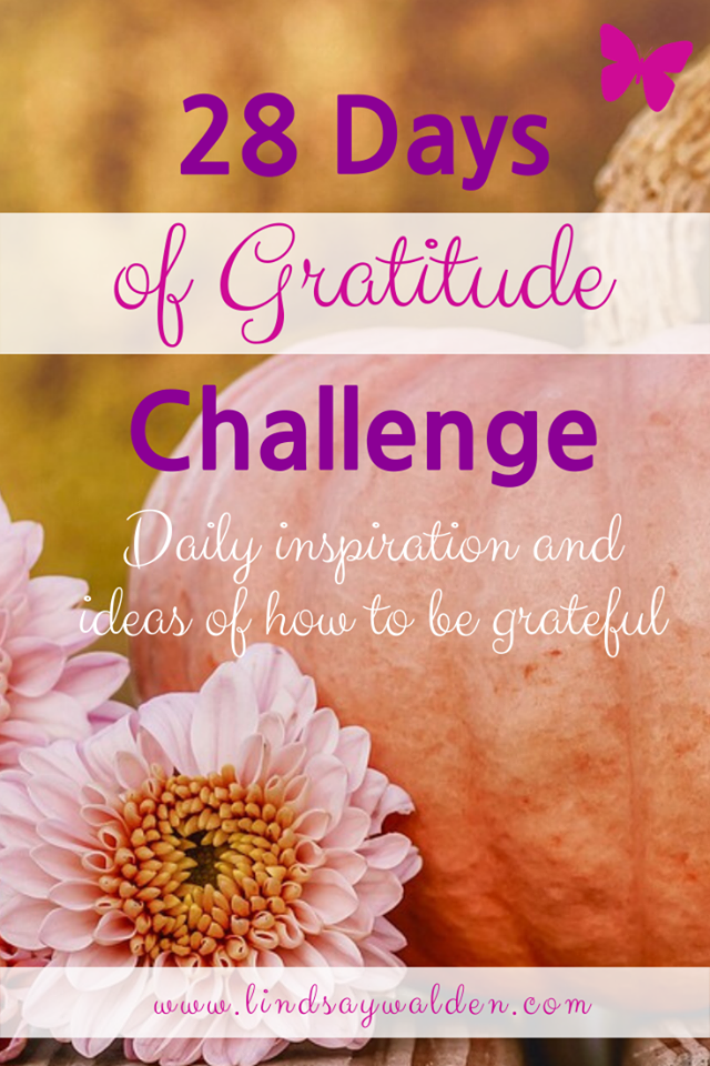 Gratitude Journal for Women: 120 Days with Prompts to Guide Your  Thankfulness