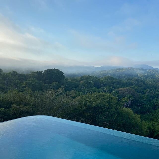Beautiful foggy jungle view this morning. #fog #jungle #sayulita #mexico