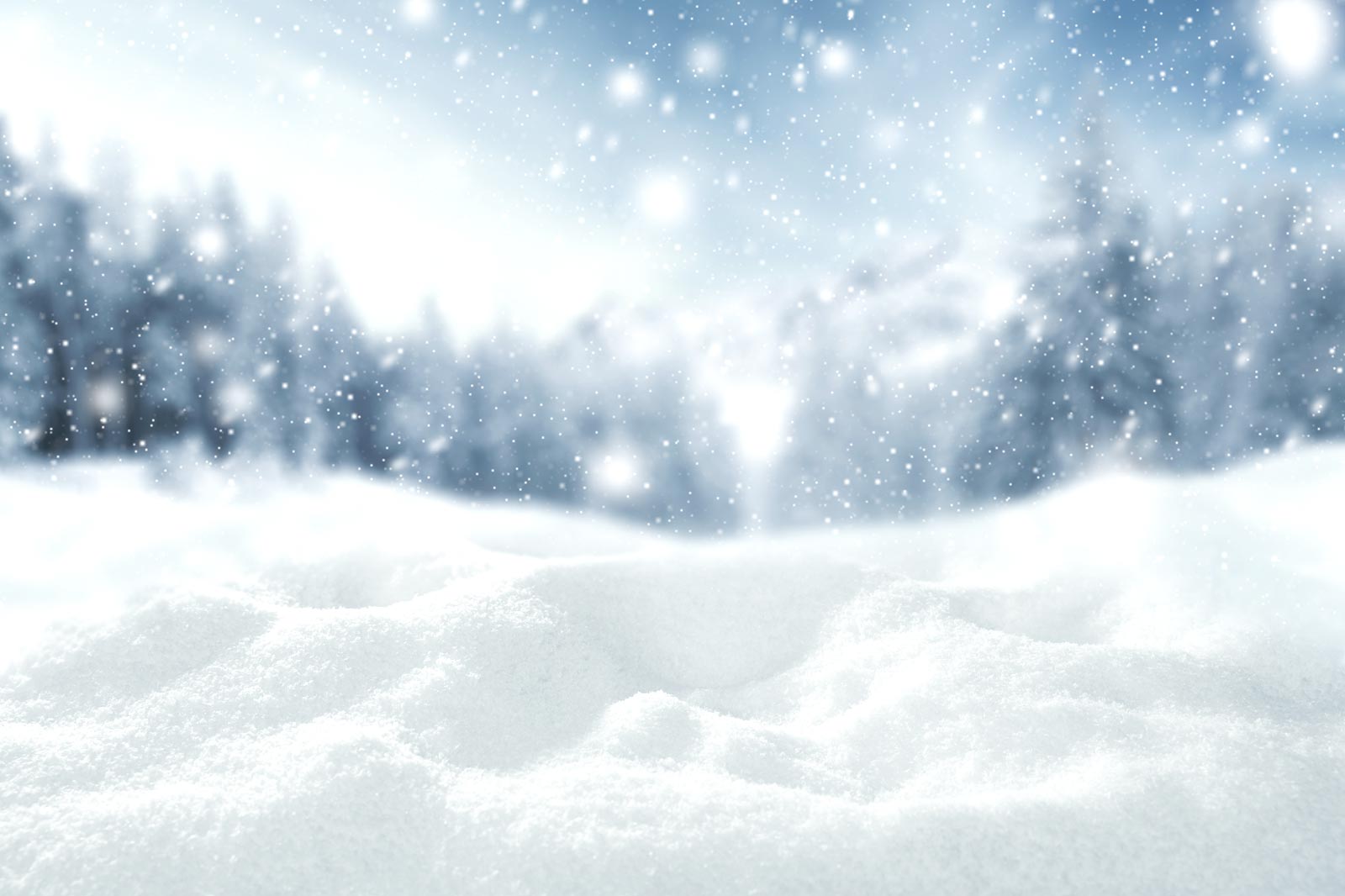 christmas-banner-home.jpg