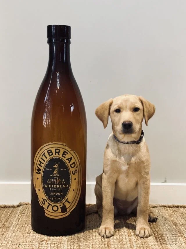 large stout bottle