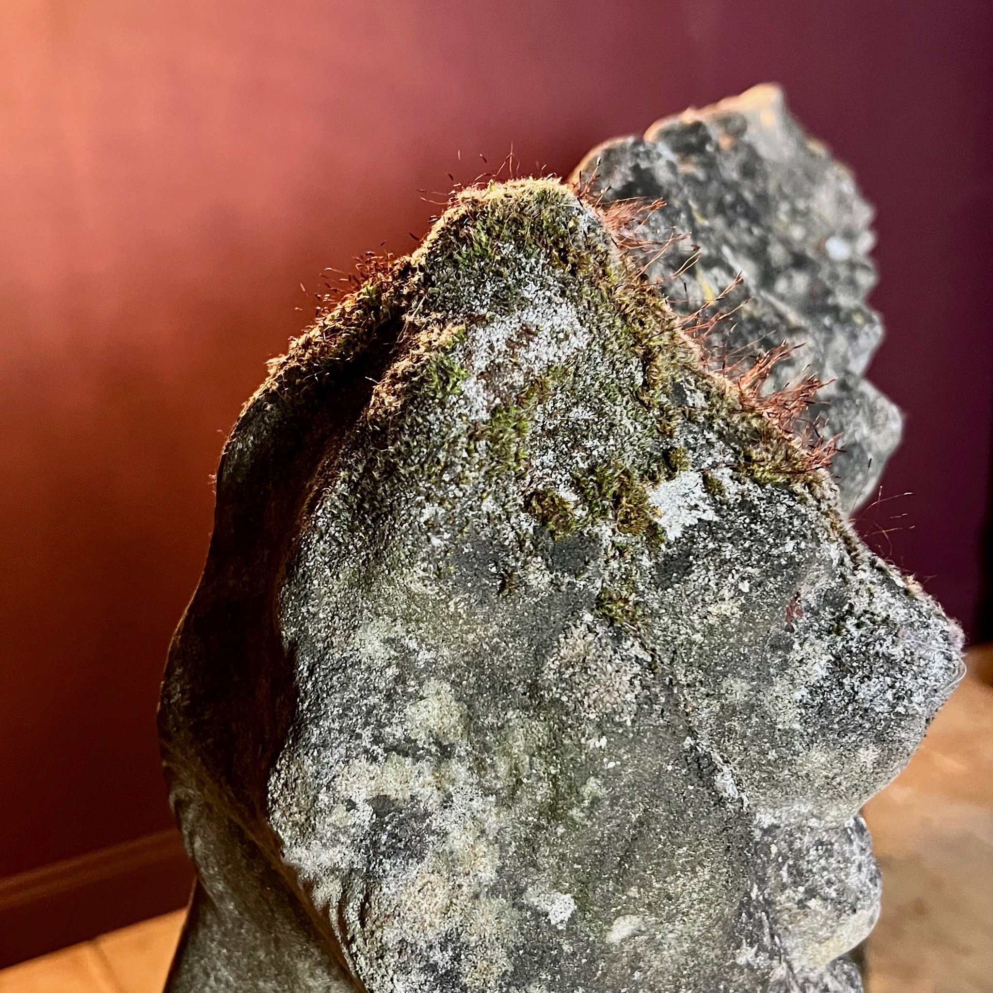 Fine set of eight reconstituted stone seated lions