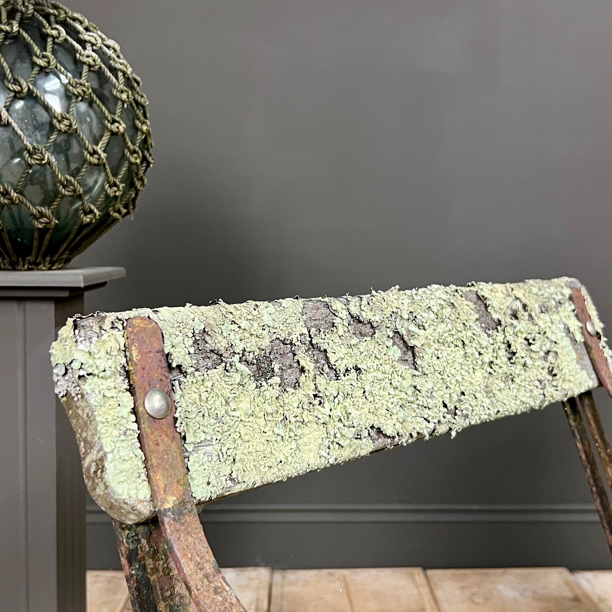Edwardian Lichen Encrusted Garden Chair