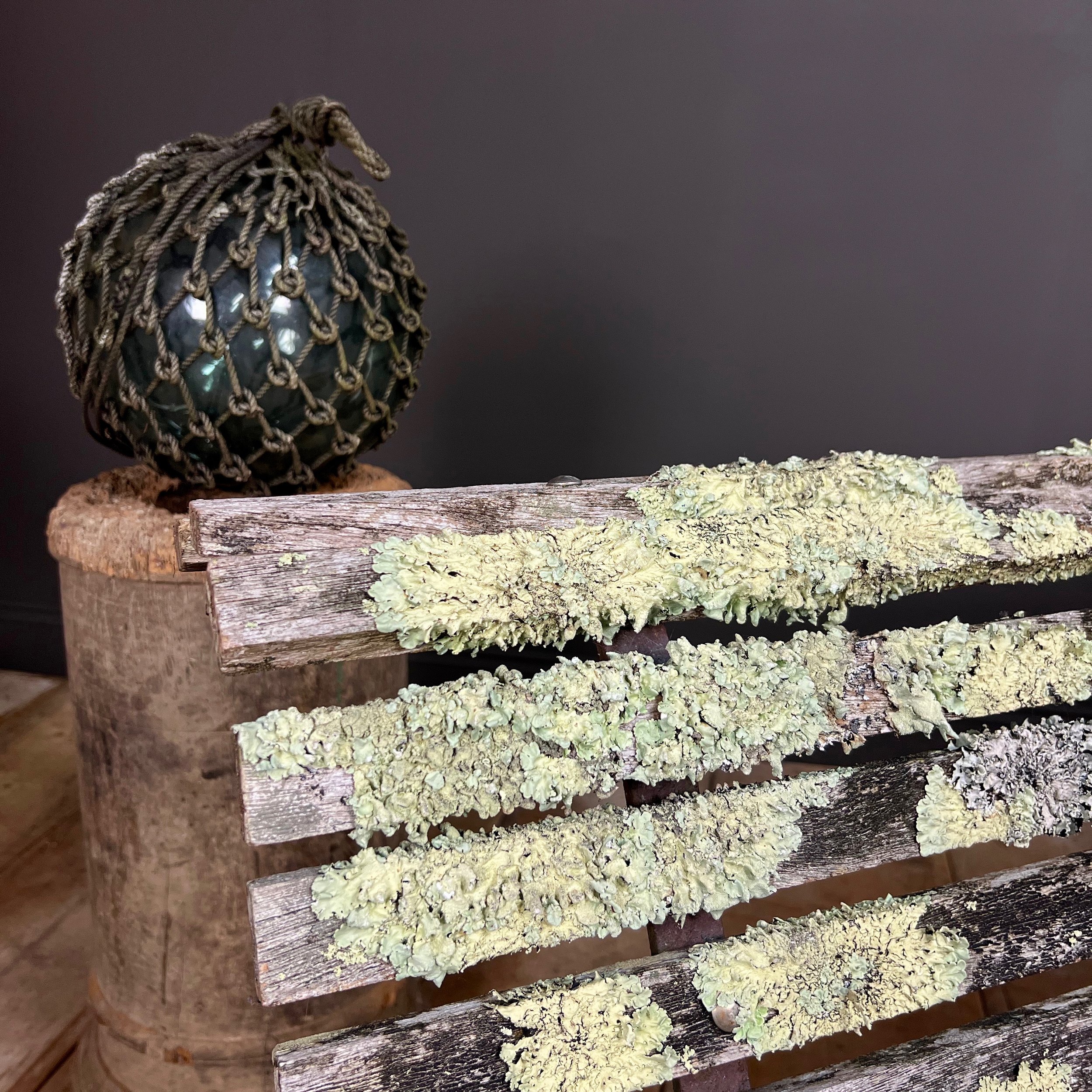 Lichen Encrusted Edwardian Garden Bench