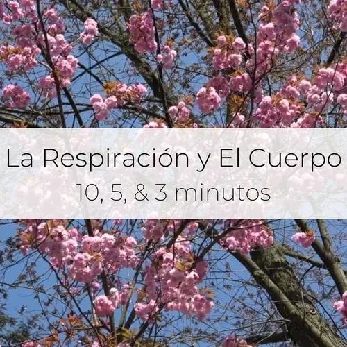 The+Sound+of+Breath+5+Minute+Meditation.webp