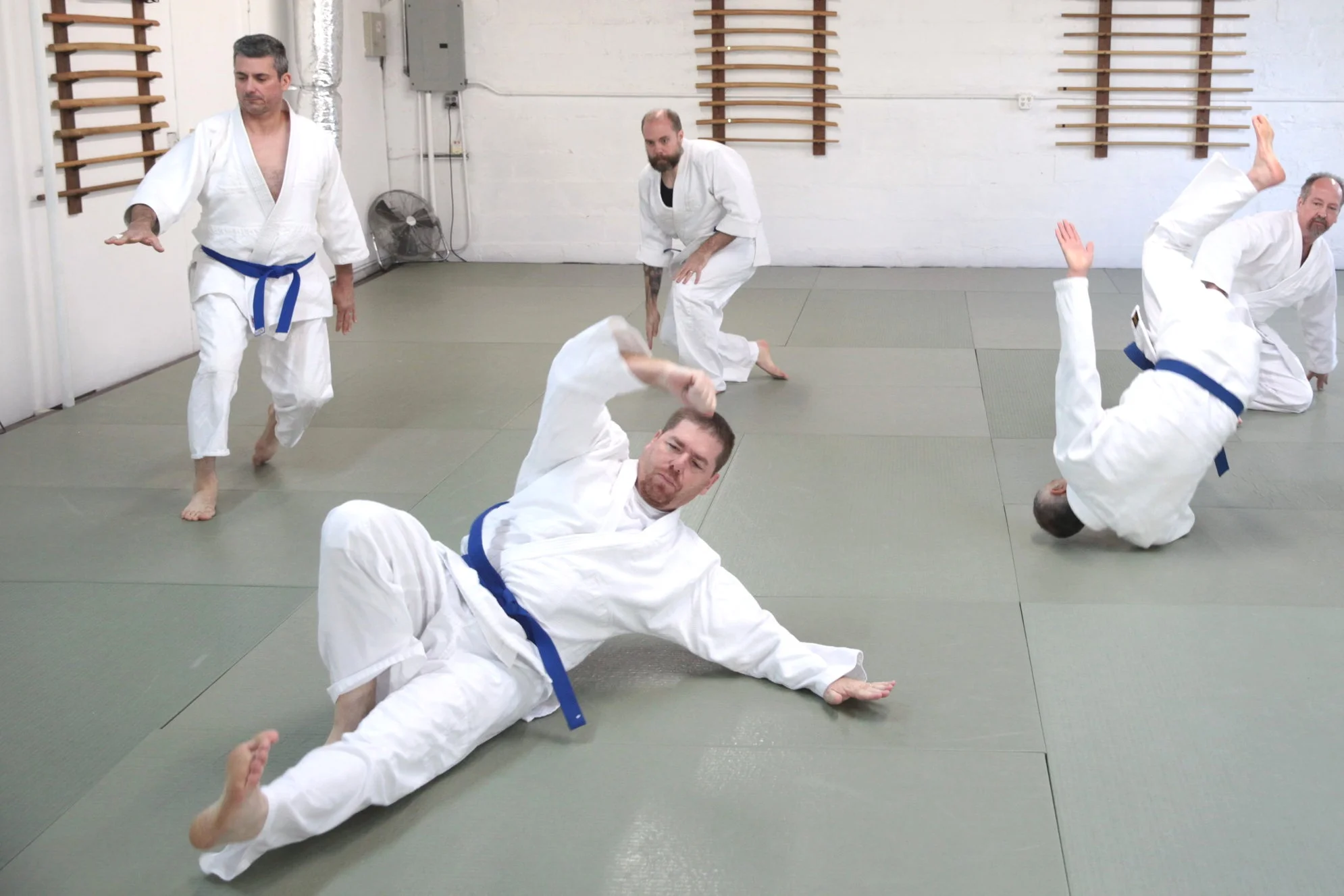 Ryushinkan_Aikido_Ukemi_1.jpg