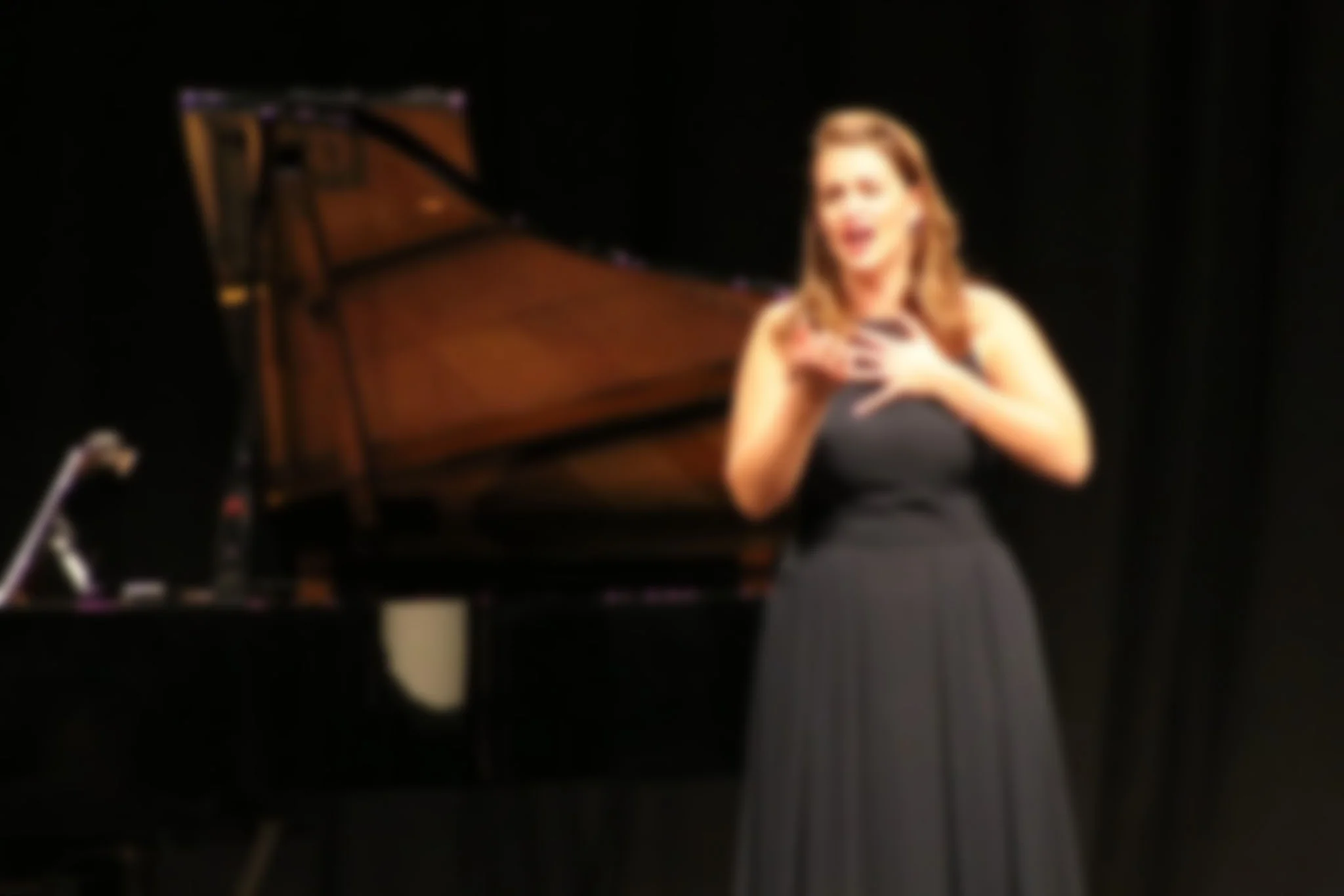 Lynx Project concert background blur.jpg