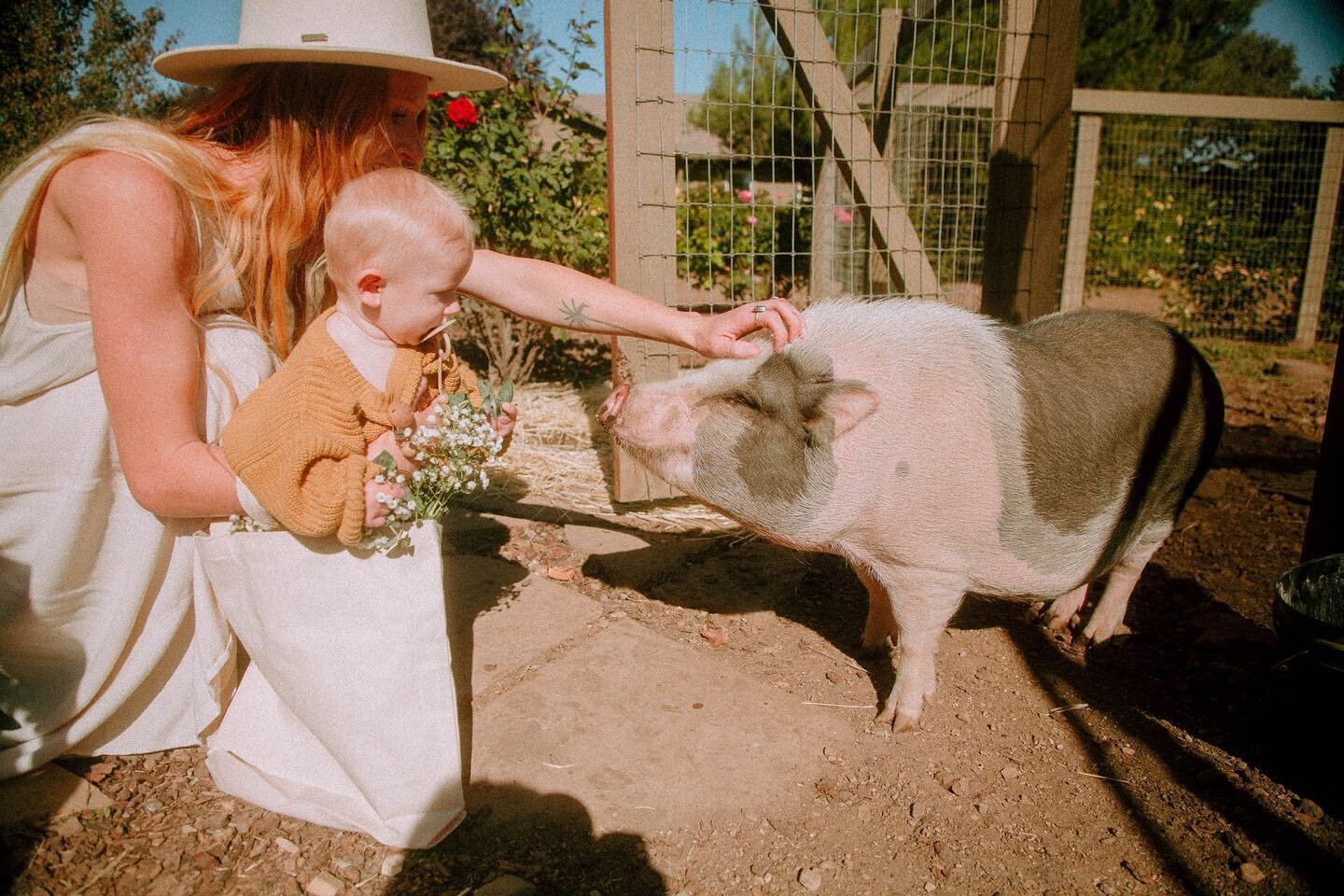 Jingles making new friends 😍⁠
⁠
#FriendsNotFood⁠
#EcomamaFarms