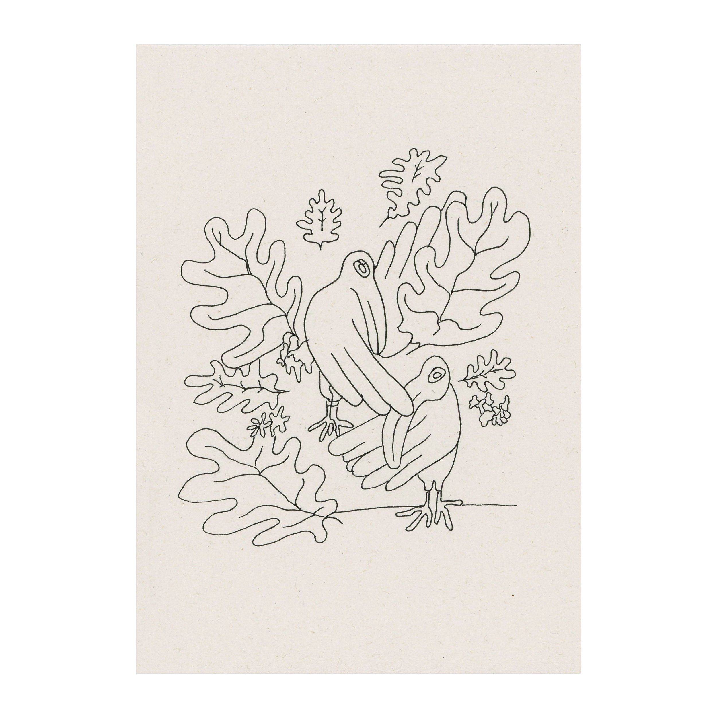 drawing 53 lilys birds white.jpg