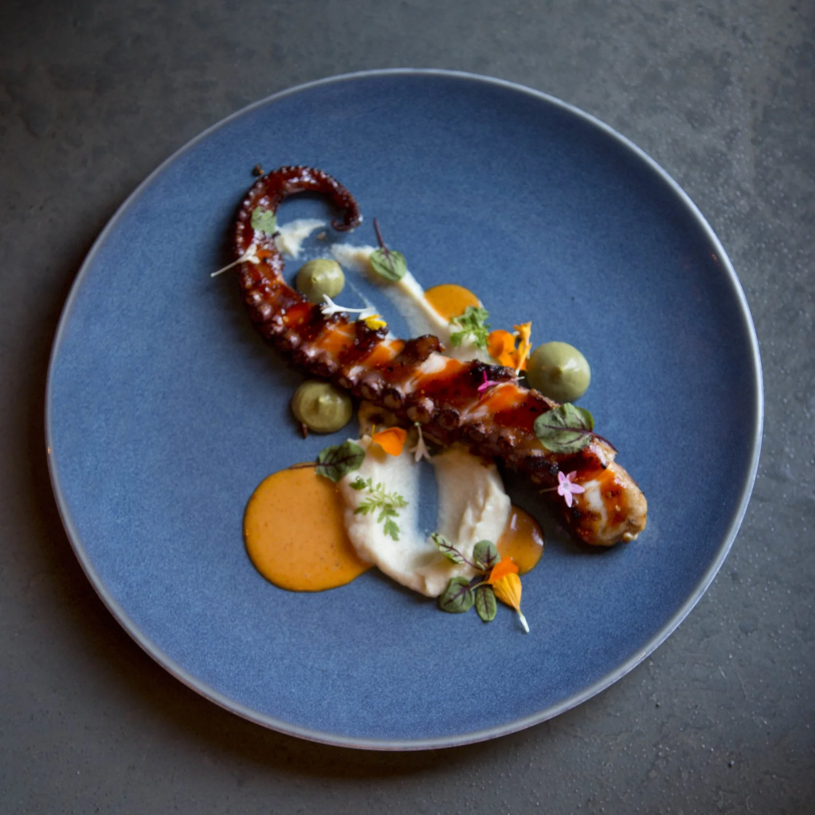 Purveyor octopus.jpg