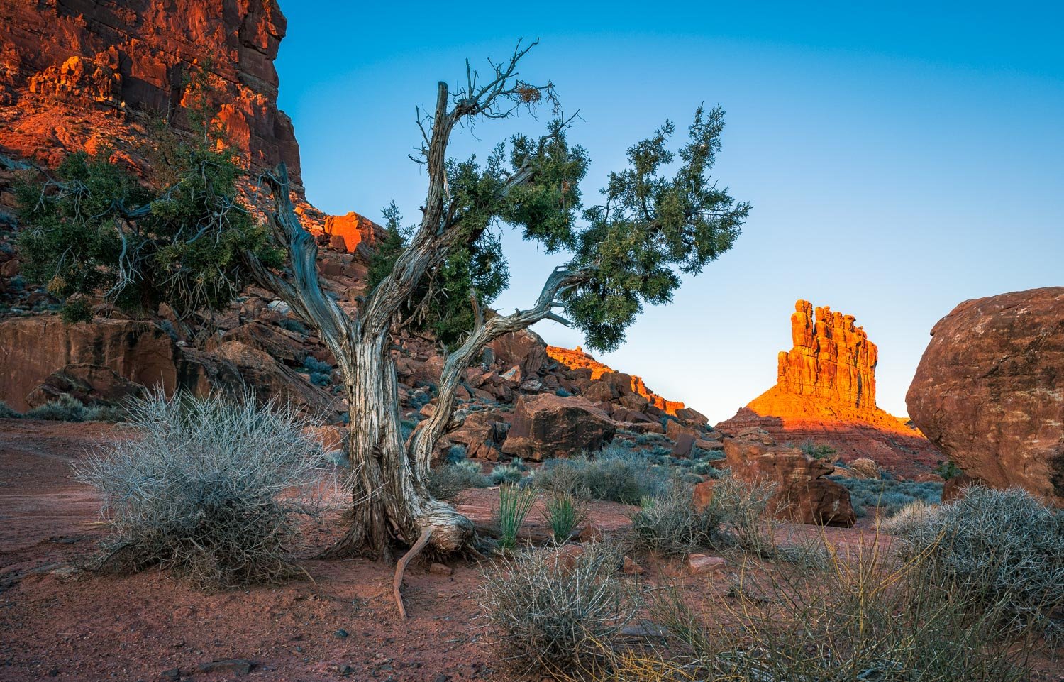 Opportunity Cost (Bears Ears Landscapes)