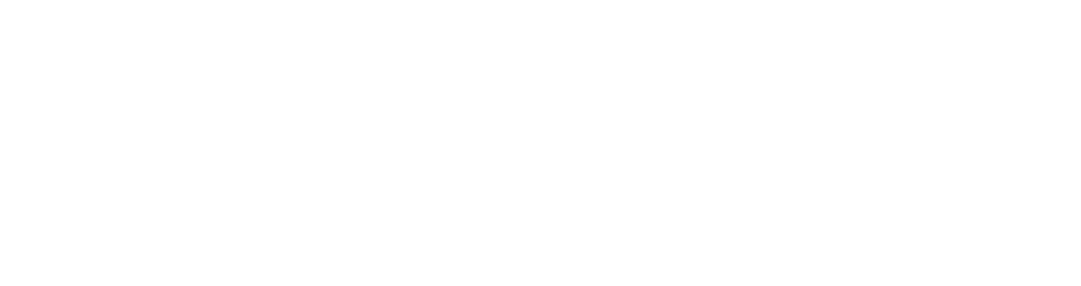 ski homes.png