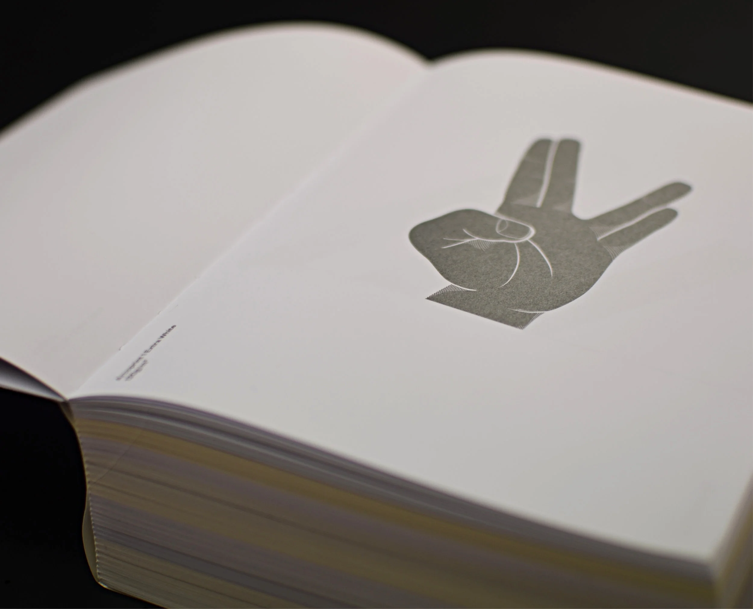 Fedrigoni 365 Layout-09.jpg