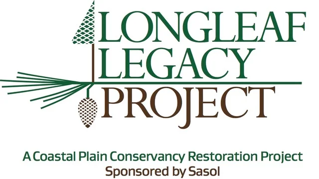 LLP tree cone logo fnl.jpeg