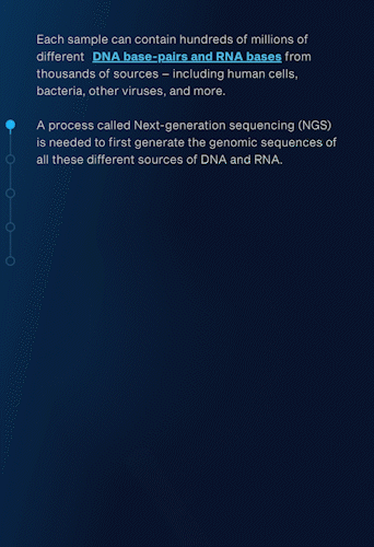 Screen Shot 2024-06-11 at 2.40.41 PM.gif