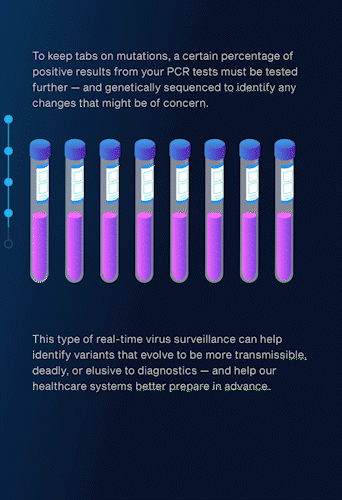 Screen Shot 2024-06-13 at 12.36.08 PM.gif