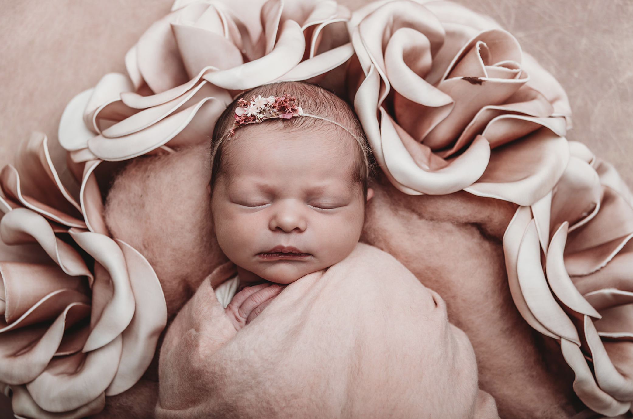 Screenshot 2026-01-16 at 1.33.17 PM.png