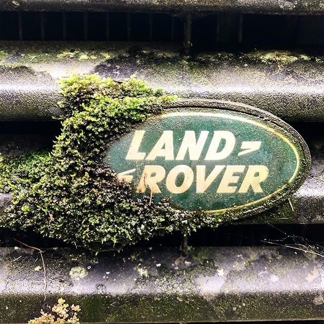 Happy World Land Rover Day!  #landrover #landroverseries #serieslandrover #landroverseries3 #landroverseries2 #landroverseries2a #landroverseries1 #landrover88 #landrover90 #landrover109 #landrover110 #landrover130 #defender #defender110 #defender90 