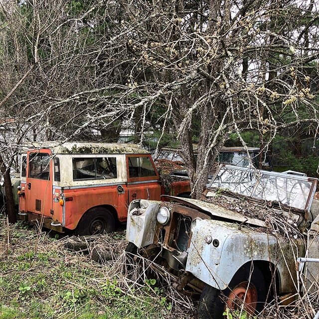 It&rsquo;s been a long winter. #vermont #landrover #landroverseries #serieslandrover #landroverseries3 #landroverseries2 #landroverseries2a #landroverseries1 #landrover88 #landrover90 #landrover109 #landrover110 #landrover130 #defender #defender110 #