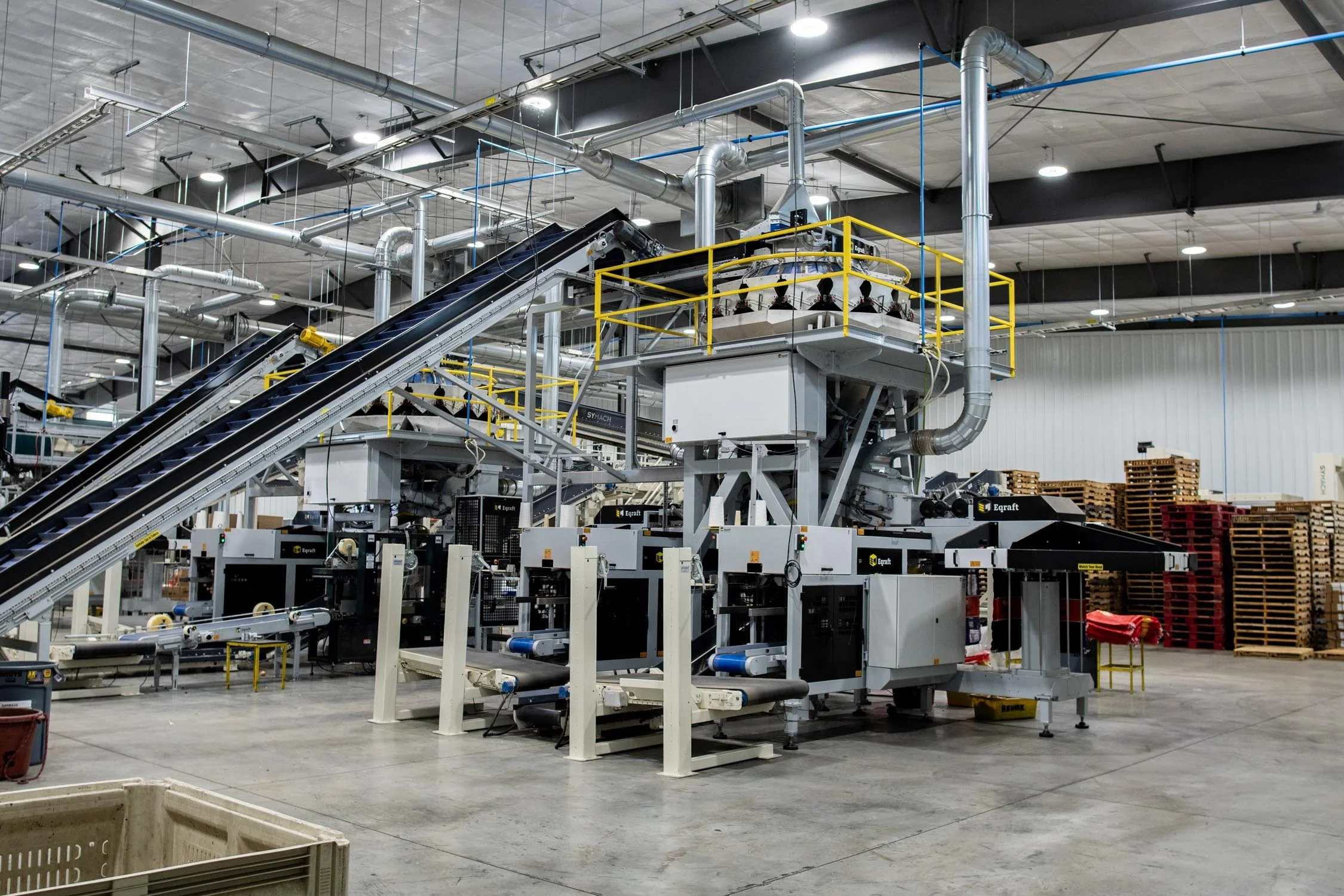Eqraft_Modesta_Symach_Biometic_Eqrader_Optical_Onion_Potato_Grader_Binhandling_Combination_Scale_Weigher_Baxmatic_Autobagger_Cratefiller_Consumer_Packs_Baling_Line_05_Blue_Sky_Onions_NC1A_9708.jpg
