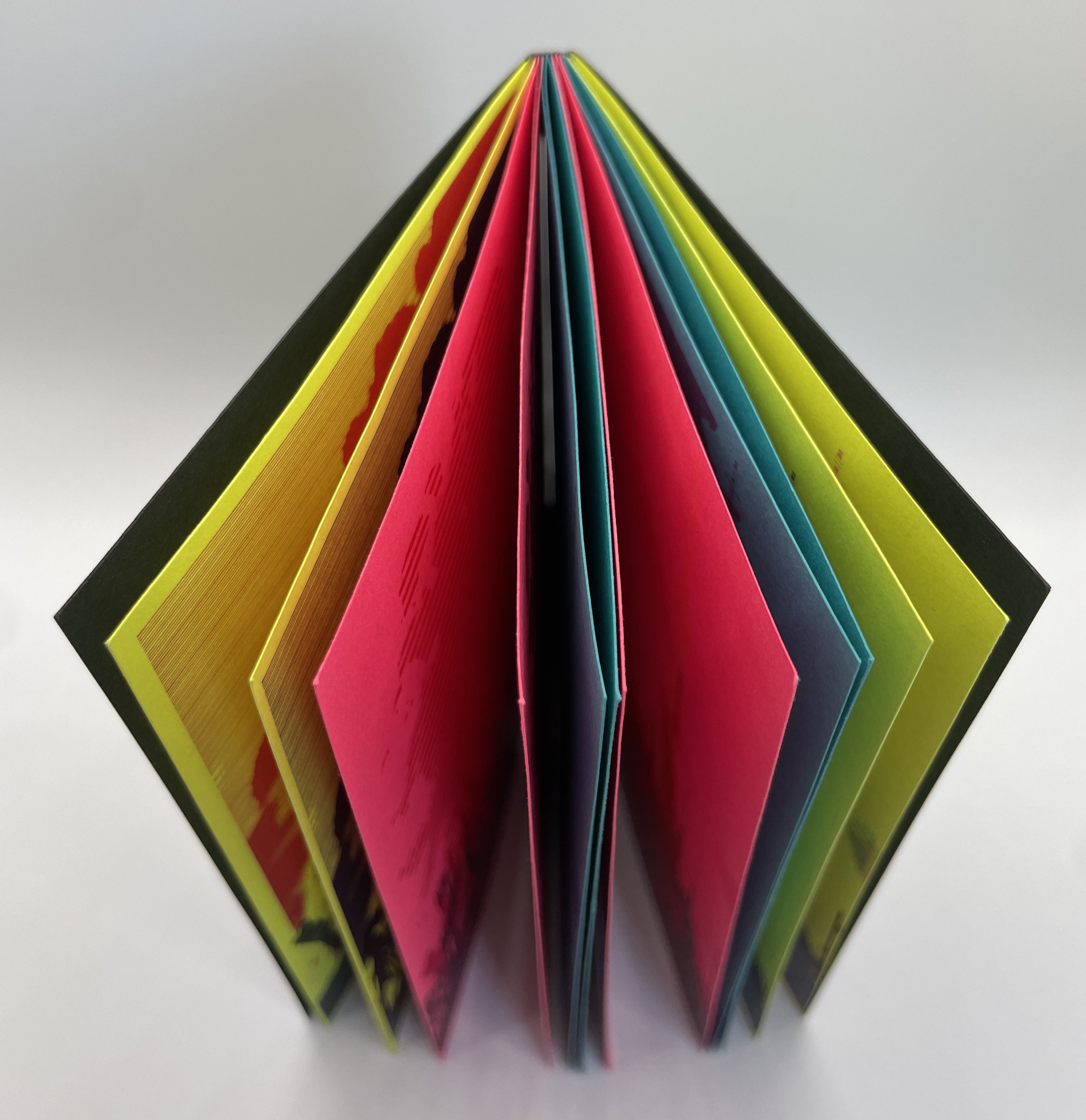 Intercept Vision Artist's Book
