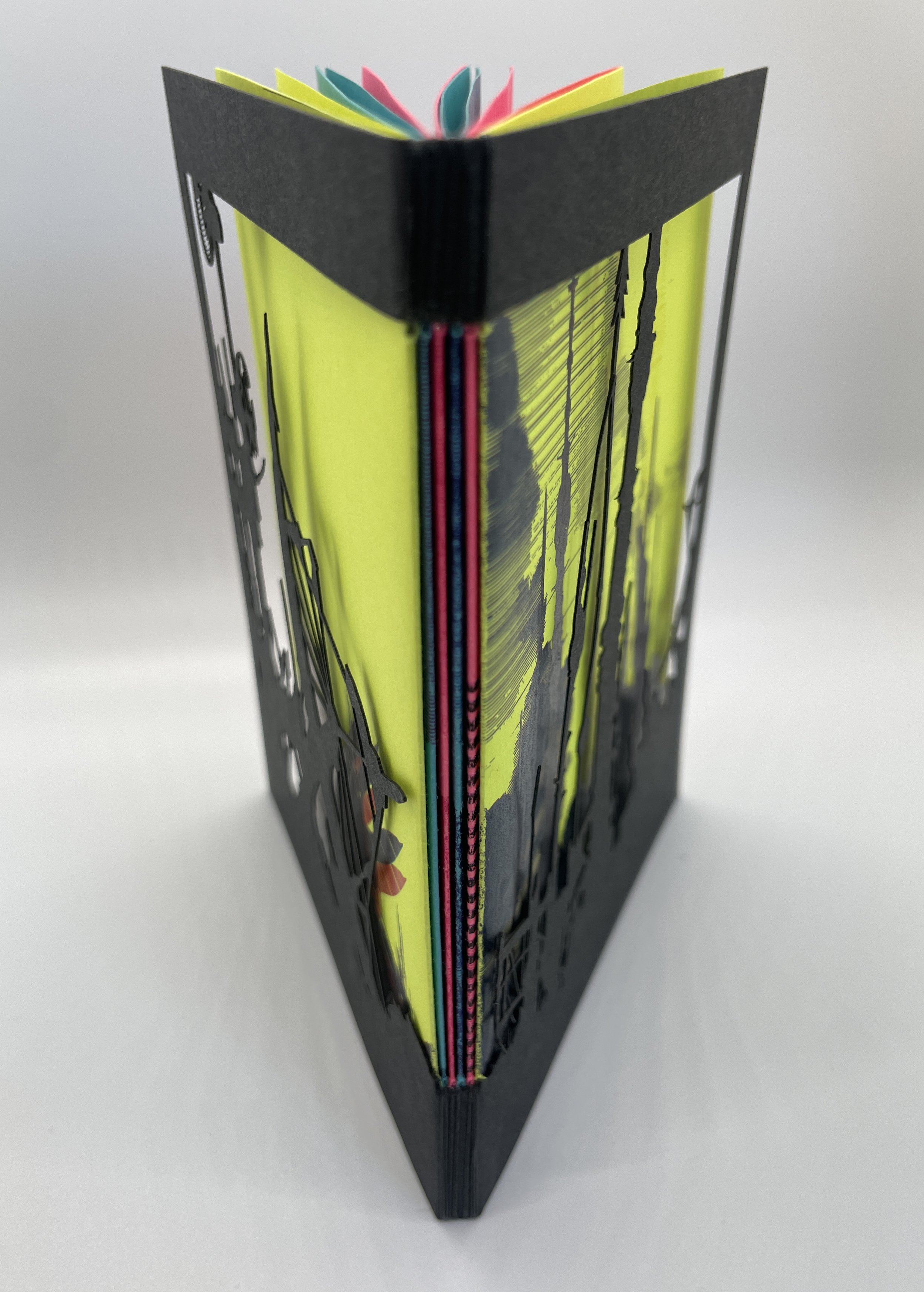Intercept Vision Artist's Book
