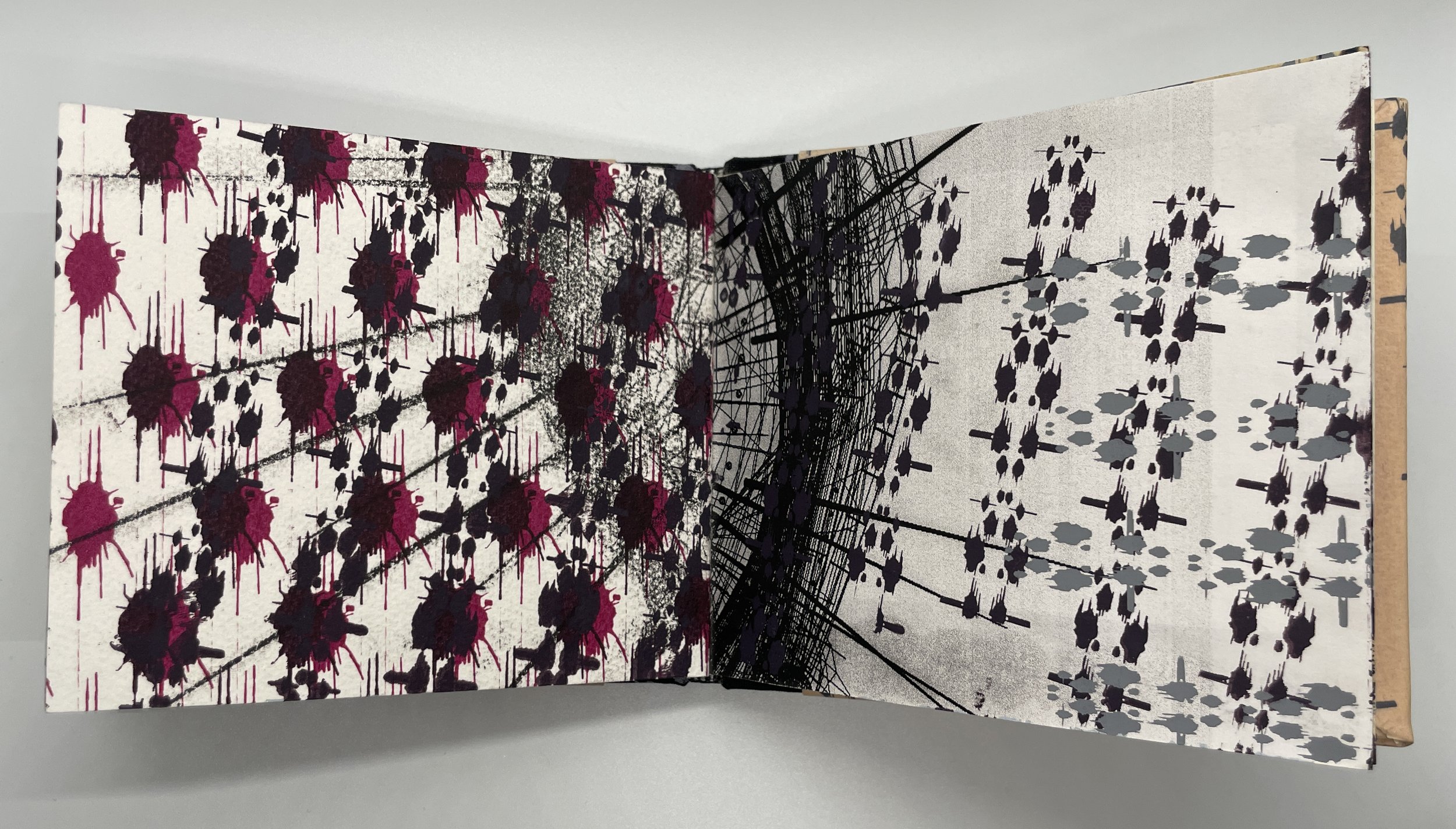 Bennett_Morris_Studio_Artist_Sublime_Ruins_Future_Vision_Machine_VisionDystopian_Landscape_Beauty_Intercept_Vision_Feedbackloop_bookmaking_printmaking_design (15).JPG