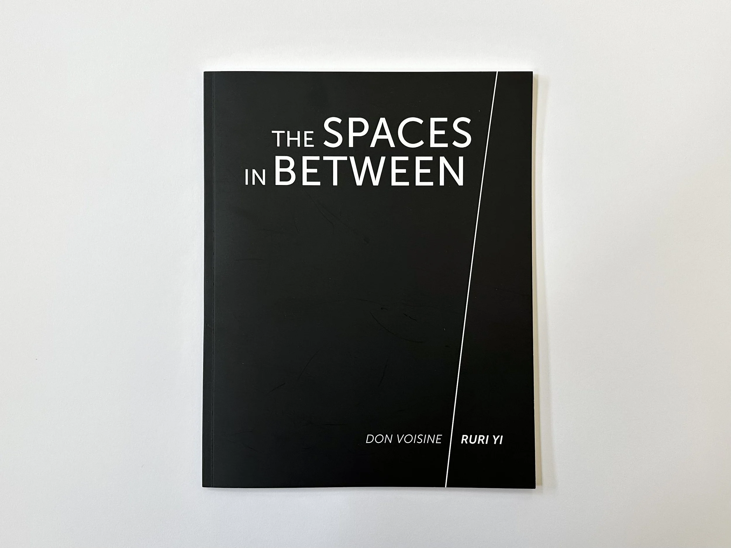 Published By PFA, essay by Paul Corio, 2022