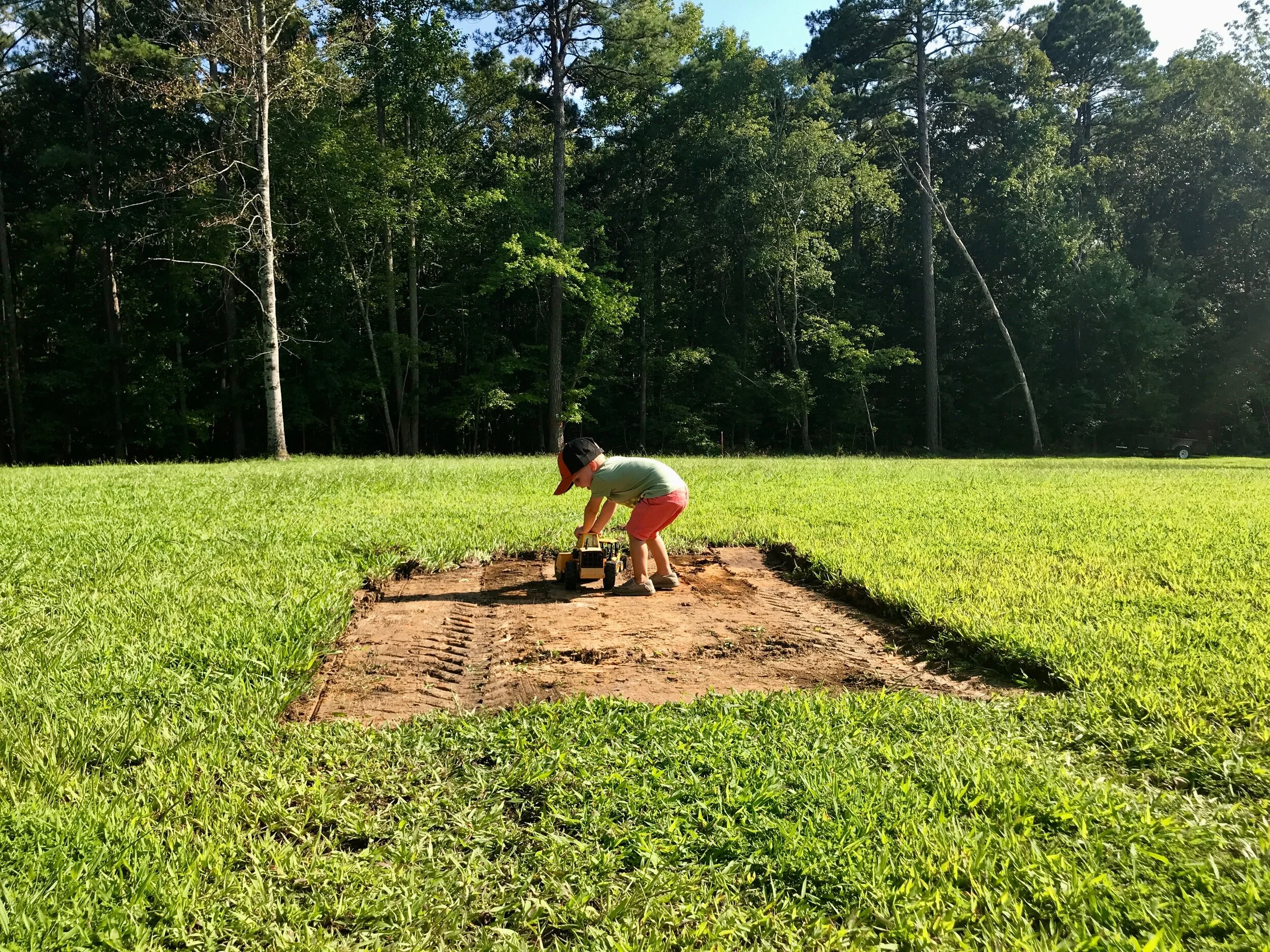 perennial Prep &amp; Planting