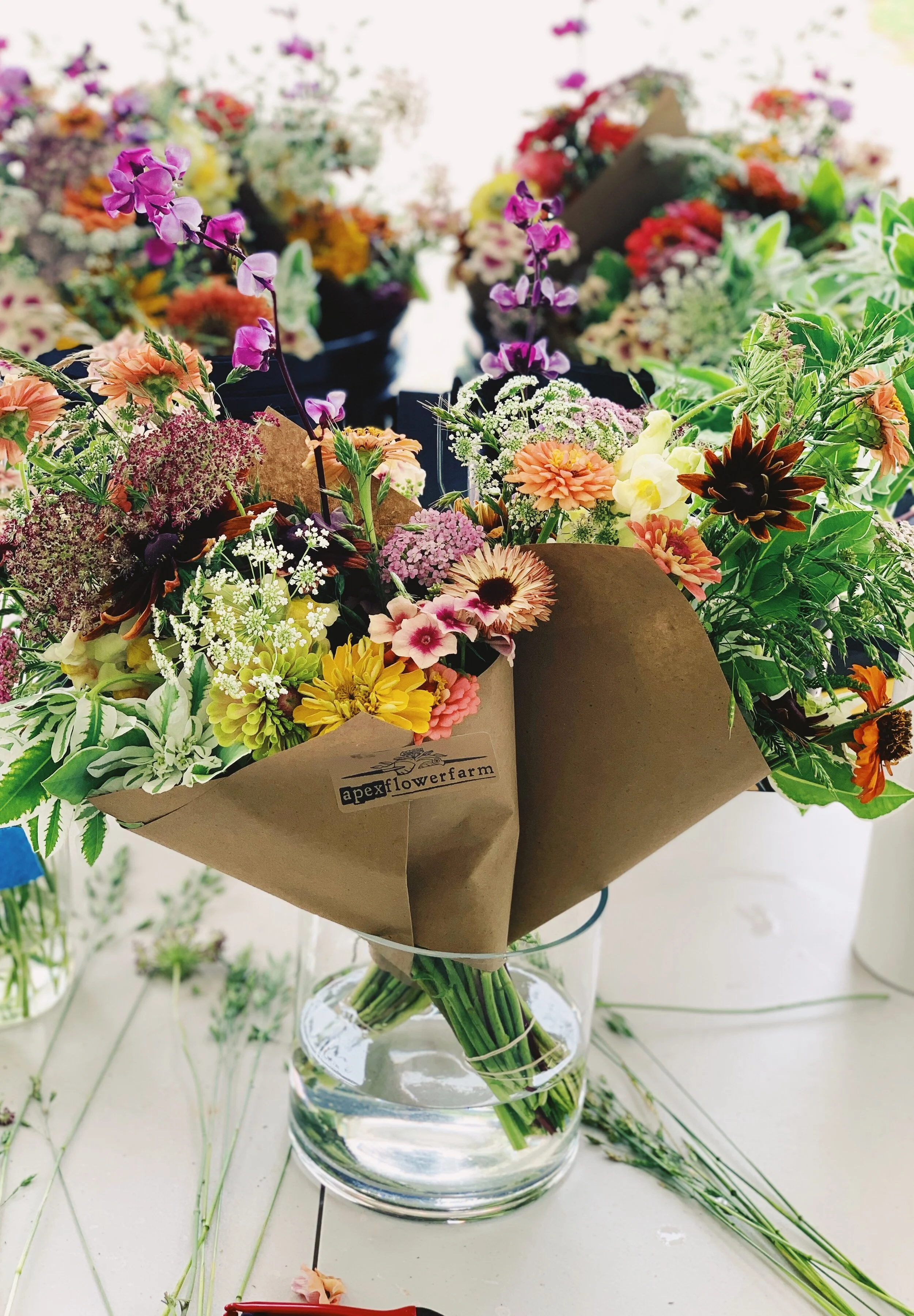 975C9029-4349-4F25-8D72-776689C41393-BCF01E11-EACB-4939-952C-9AAD1D8F2004 3.JPG