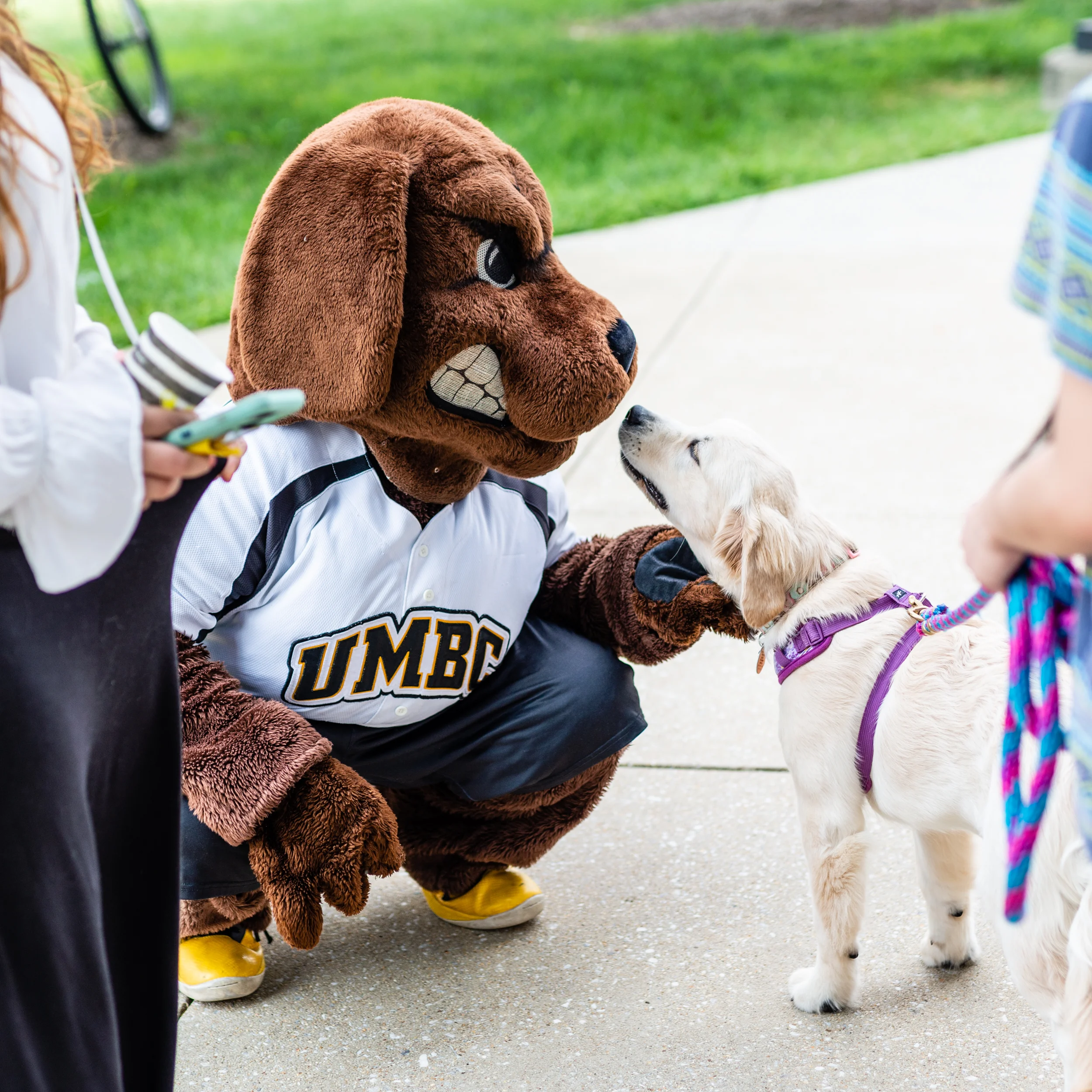 True Grit with a Dog