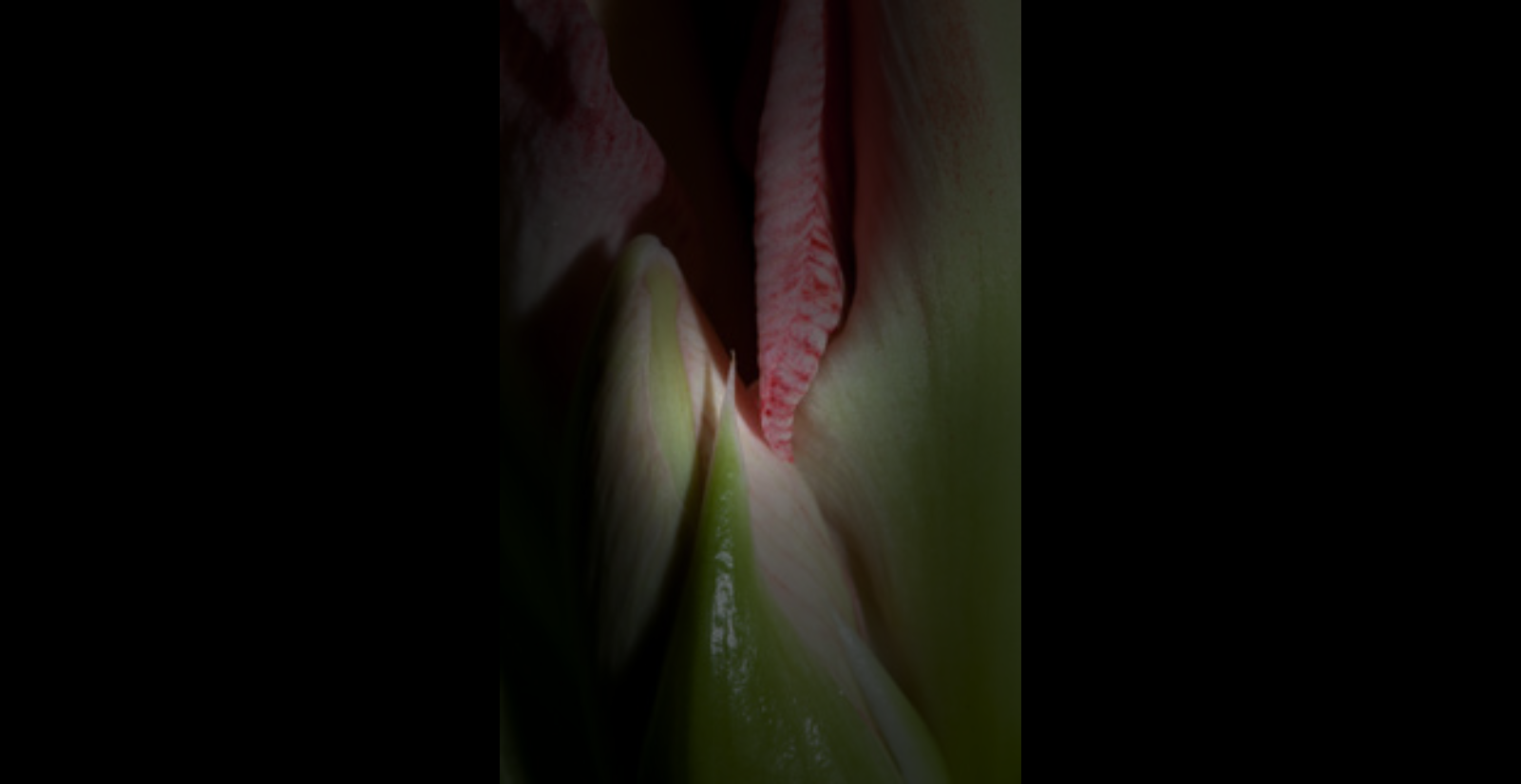 DaveFoster_FindingtheAngels(DensityScan).png
