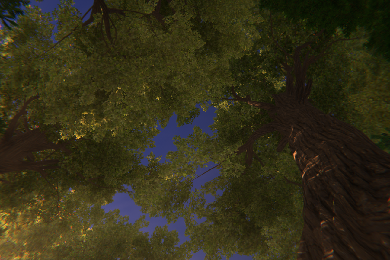 KylieCaraway_MotheroftheForest_8.png