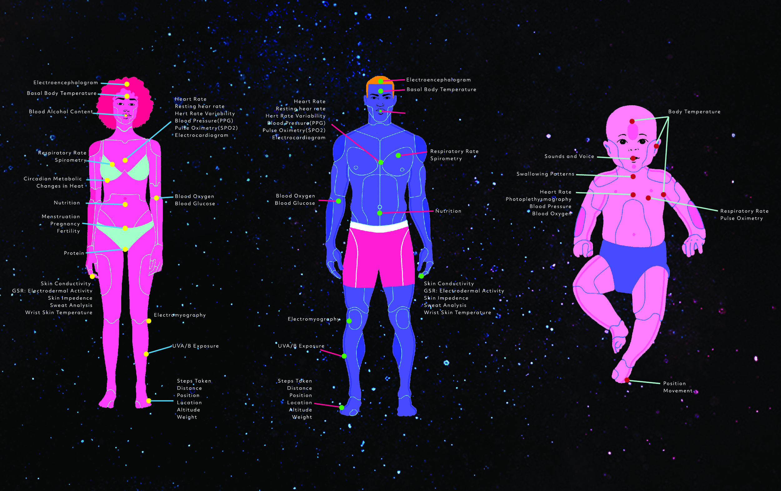 7 (Gallery). Data mapped across different body types.jpg