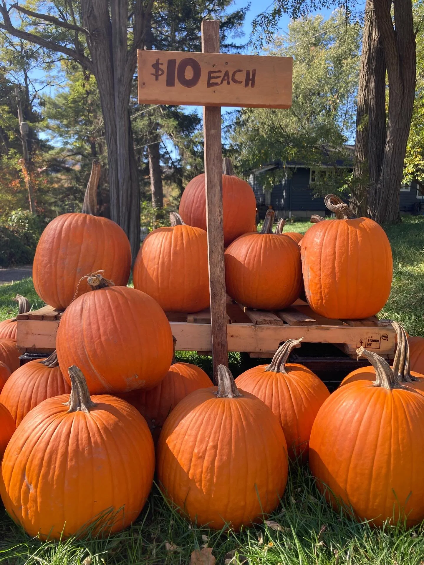 Orange-tober is here 🍁 Today was the last of the 80-degree days that have kept sweet corn 🌽 piled up in produce stands. I&rsquo;ve loved the warm dry weather but know deep down that the plants are thirsty and the creek is running low. 💧 

Septembe
