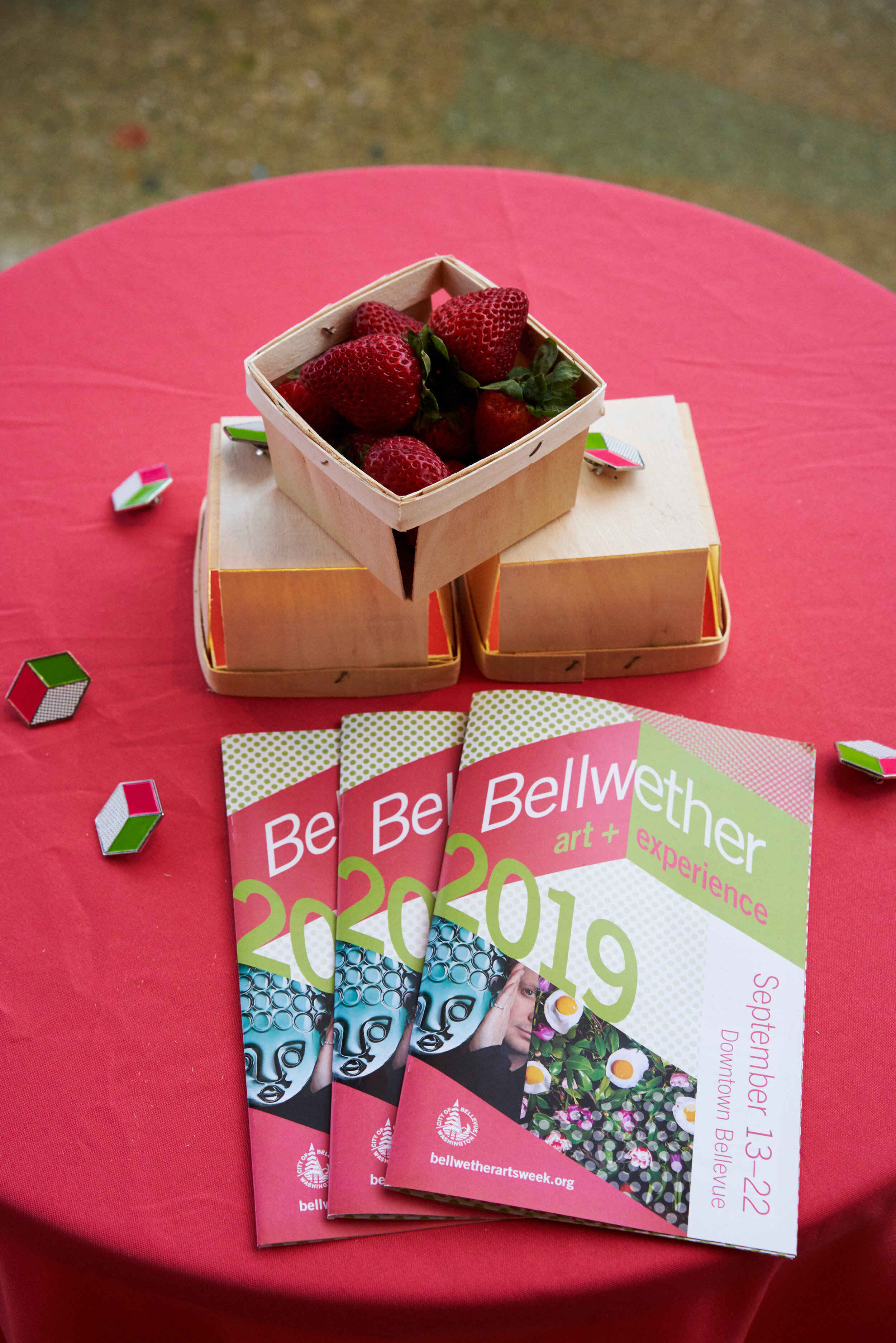20190921_Bellwether Arts Festival_Music Showcase_0007.jpg