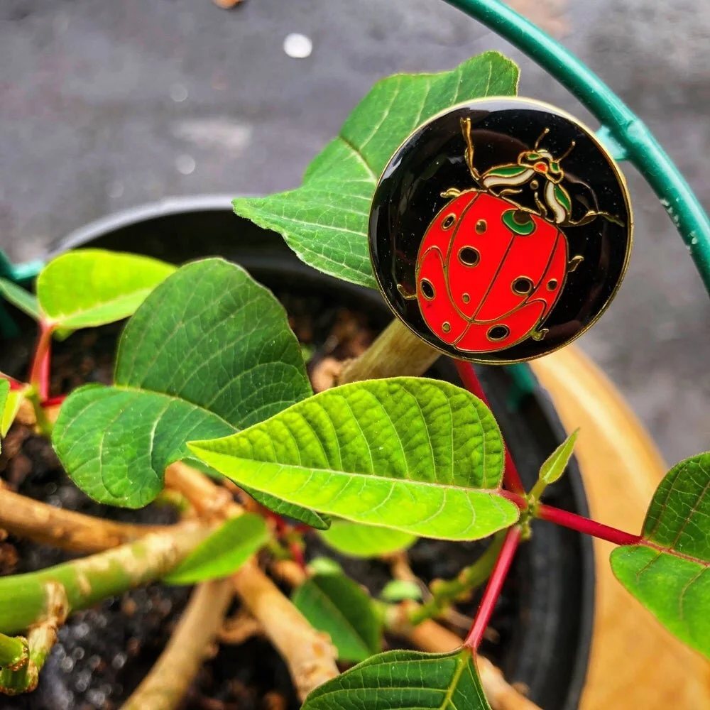 ladybug_pin.jpg