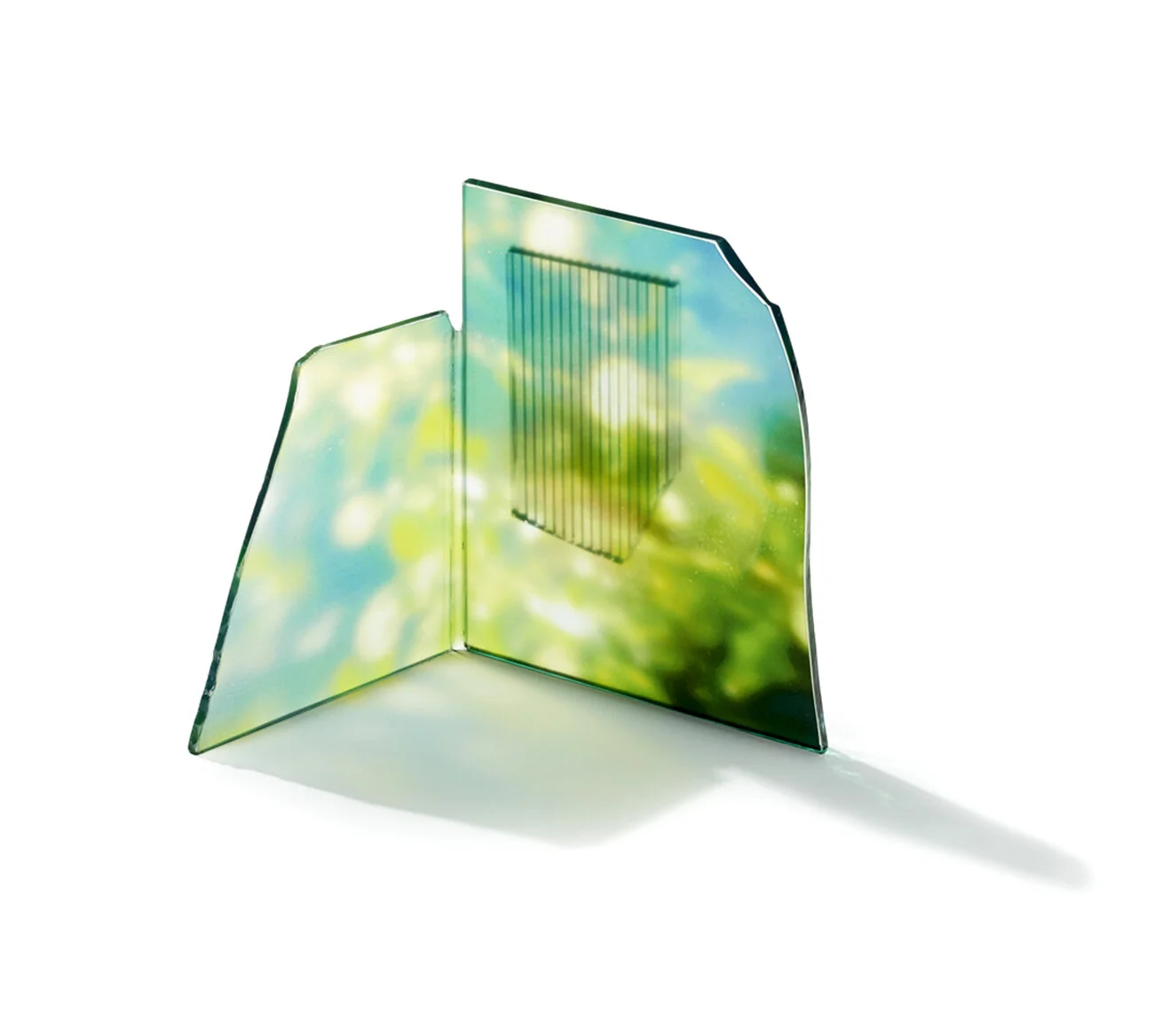 Field.jpg