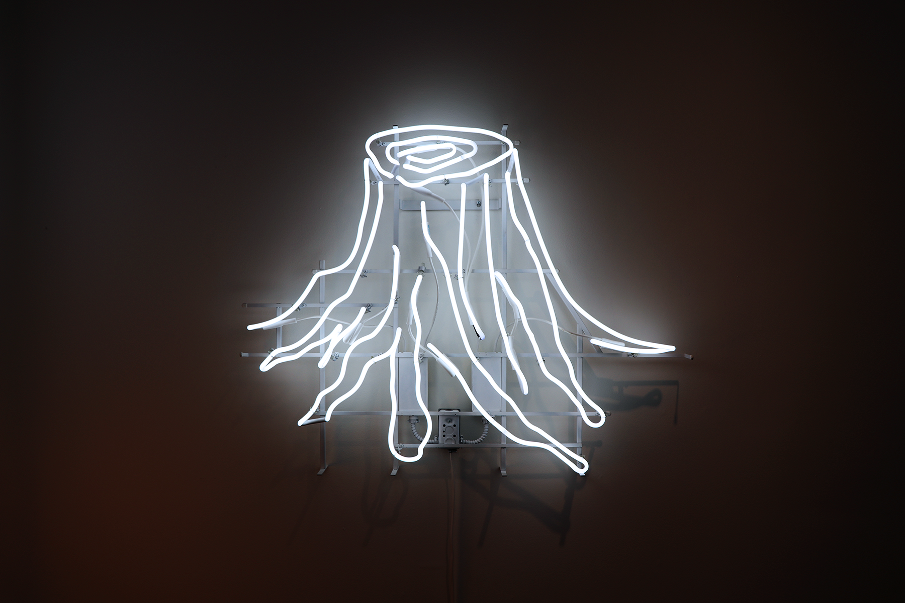 Jennifer C. Elek 1.png