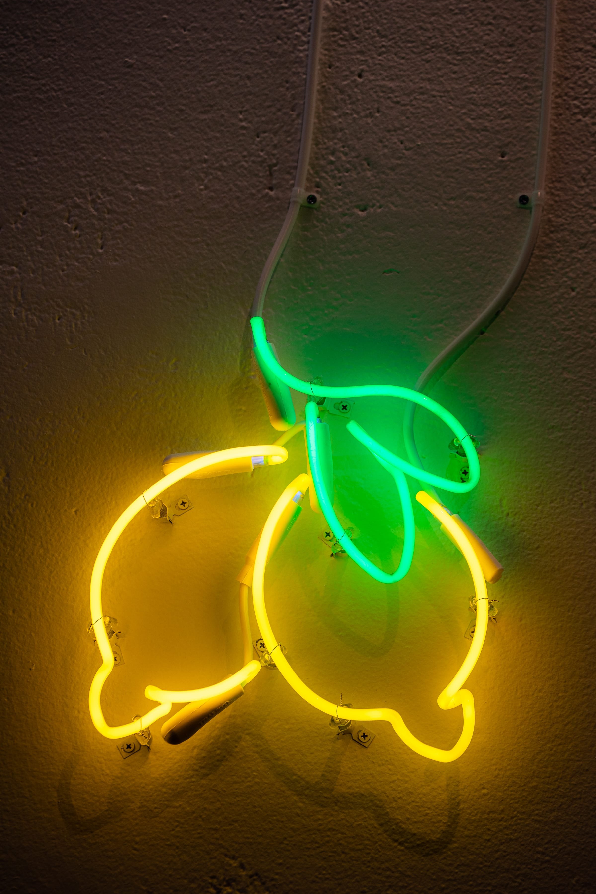091121_Bellwether (Credit-Nate Gowdy)-064.jpg
