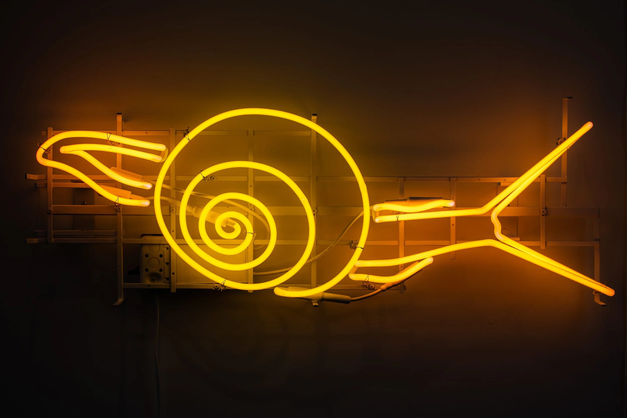 091121_Bellwether (Credit-Nate Gowdy)-066.jpg