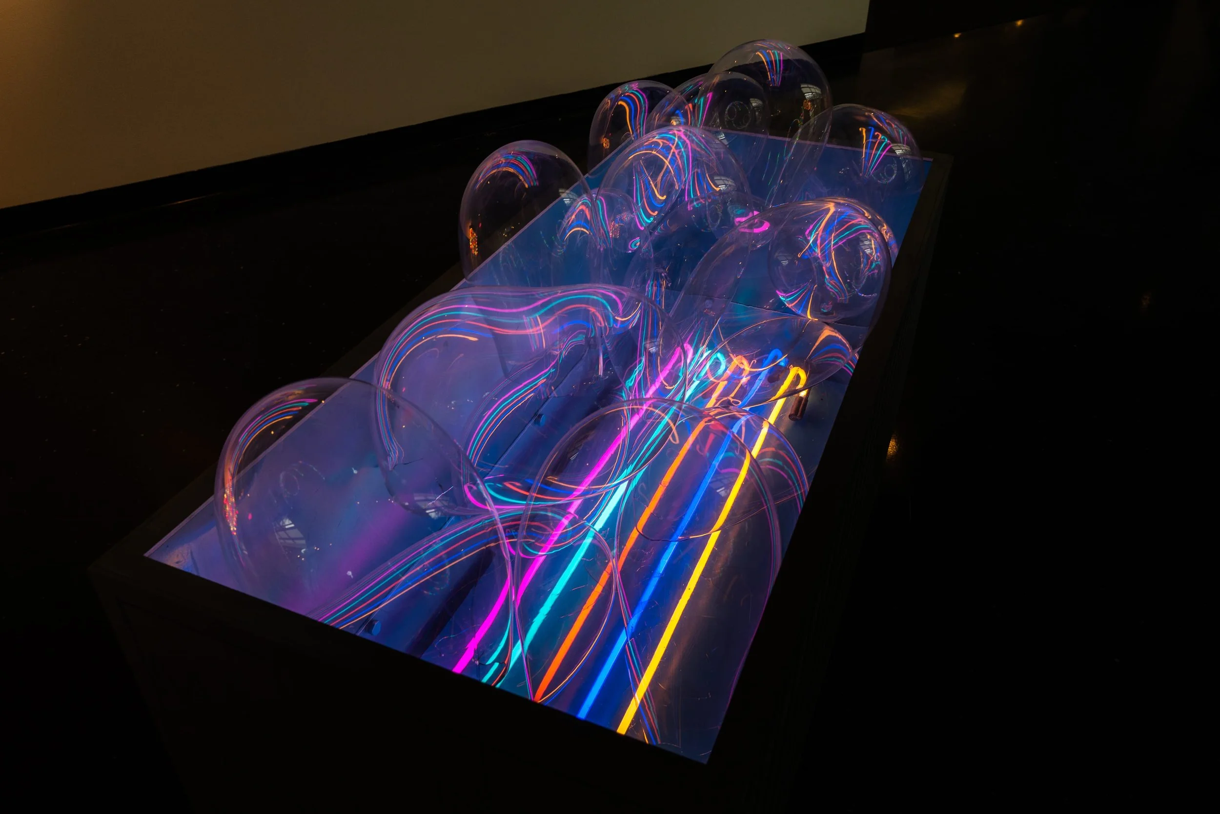 091121_Bellwether (Credit-Nate Gowdy)-087.jpg