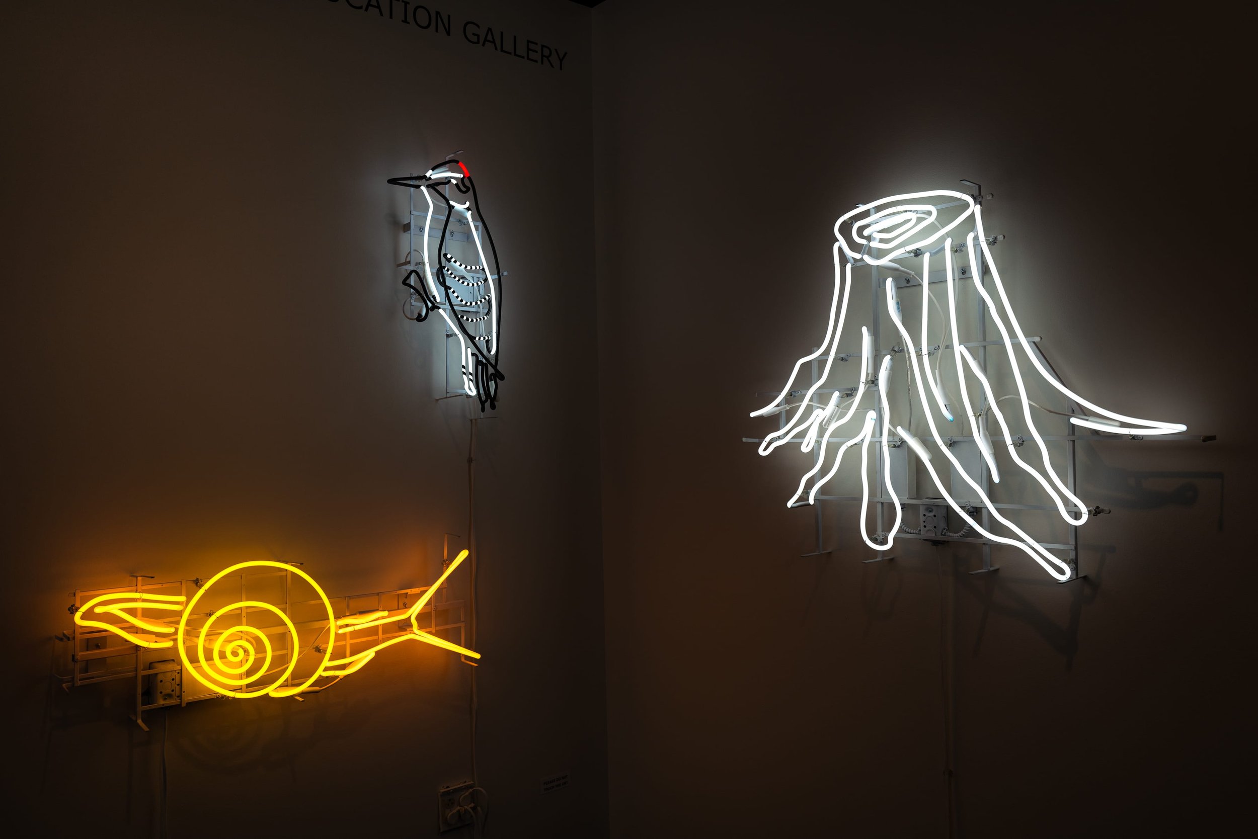 091121_Bellwether (Credit-Nate Gowdy)-088.jpg