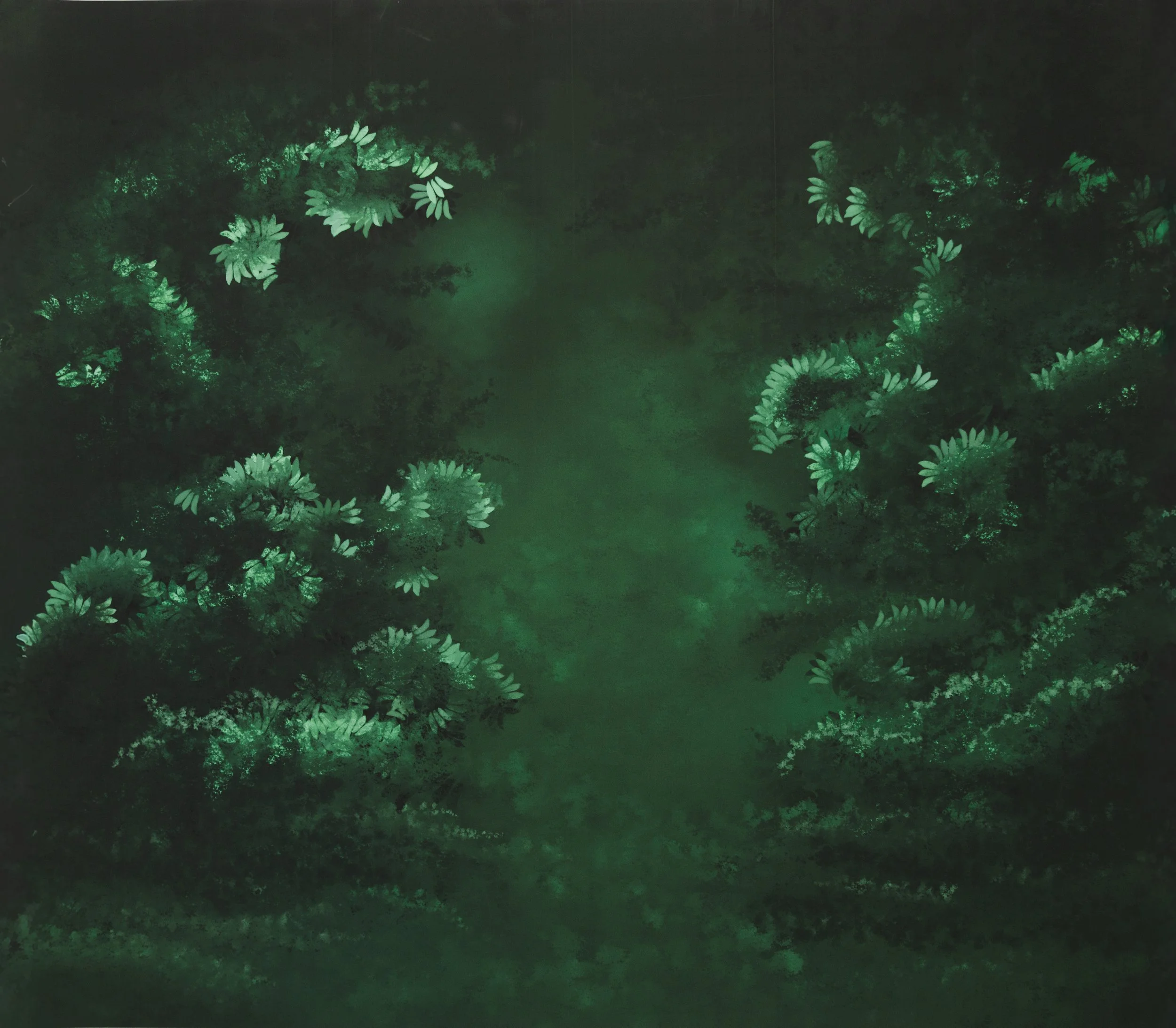 6U8A0455.jpg
