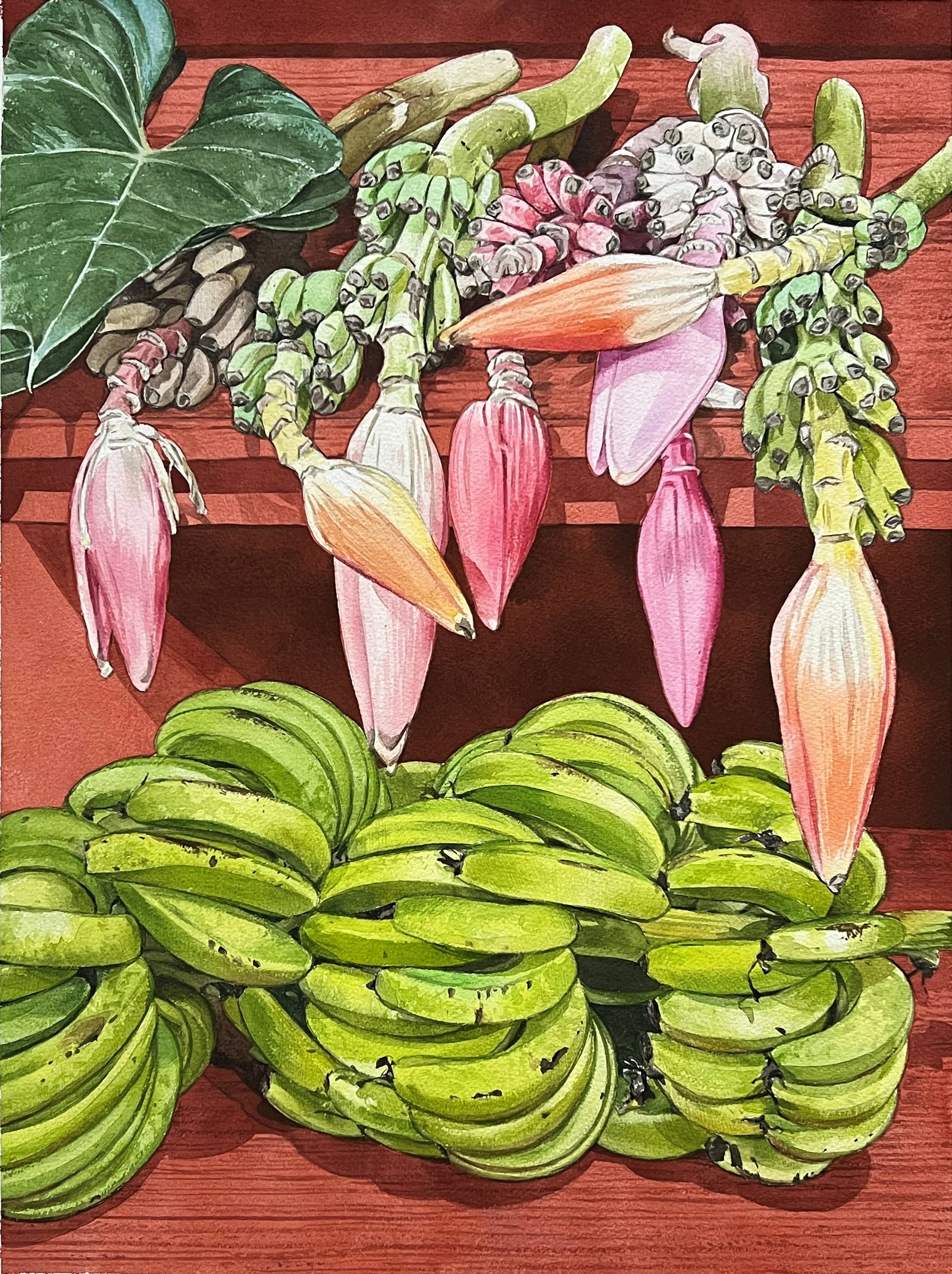 Bananas, 2025, 17"x23" watercolor and graphite on paper.