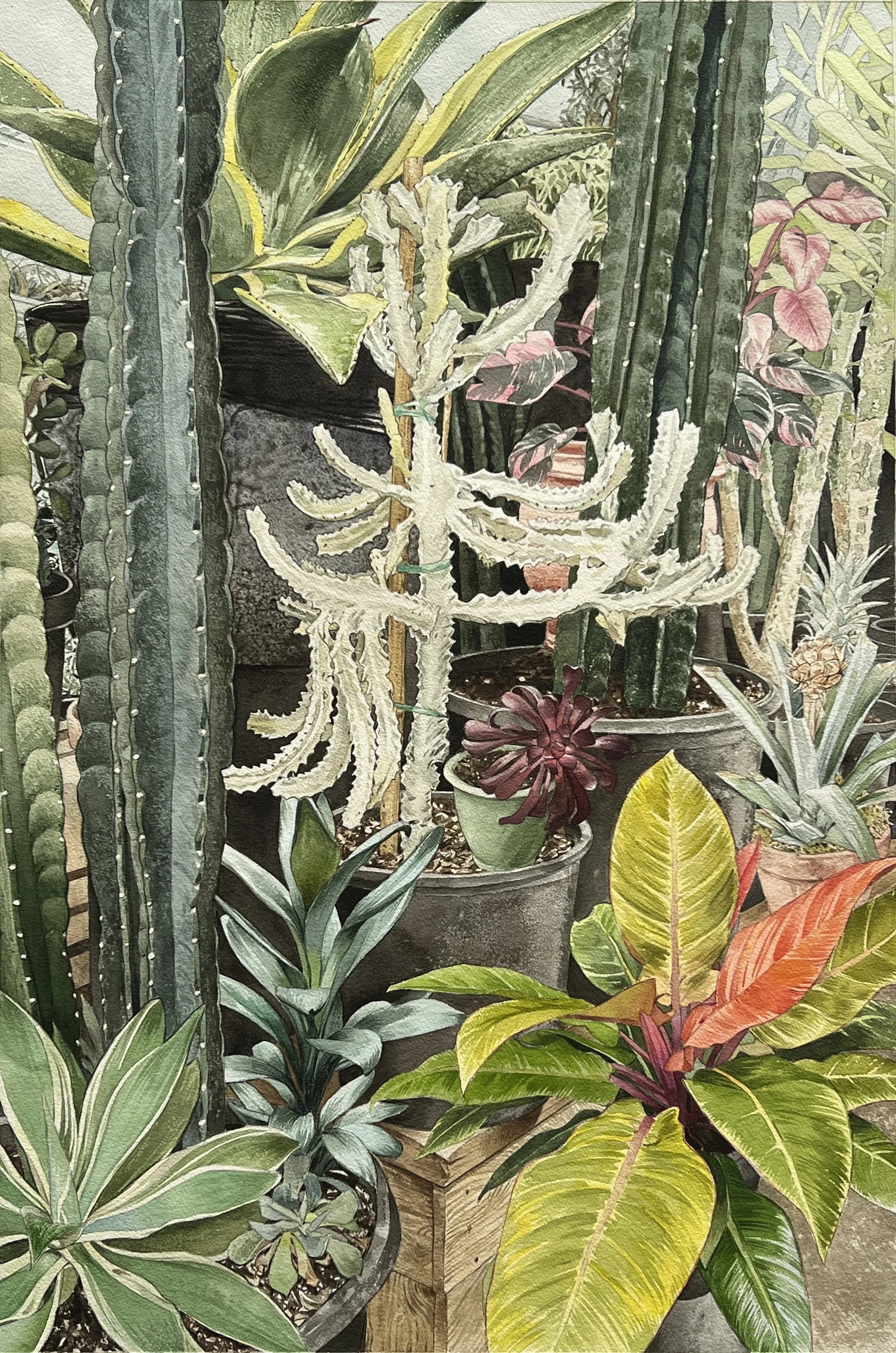 WHITE GHOST< 2025, 24"X36", watercolor and graphite on paper.
