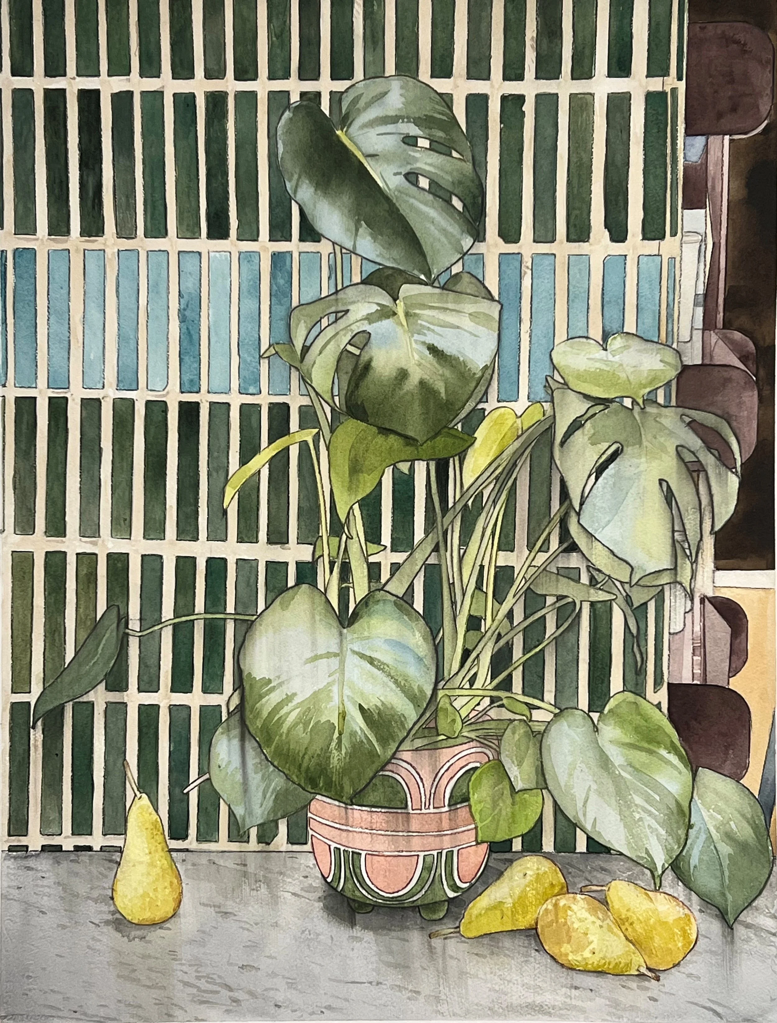 Concorde Pear, 2026, 21.25"x28", graphite and watercolor on paper.