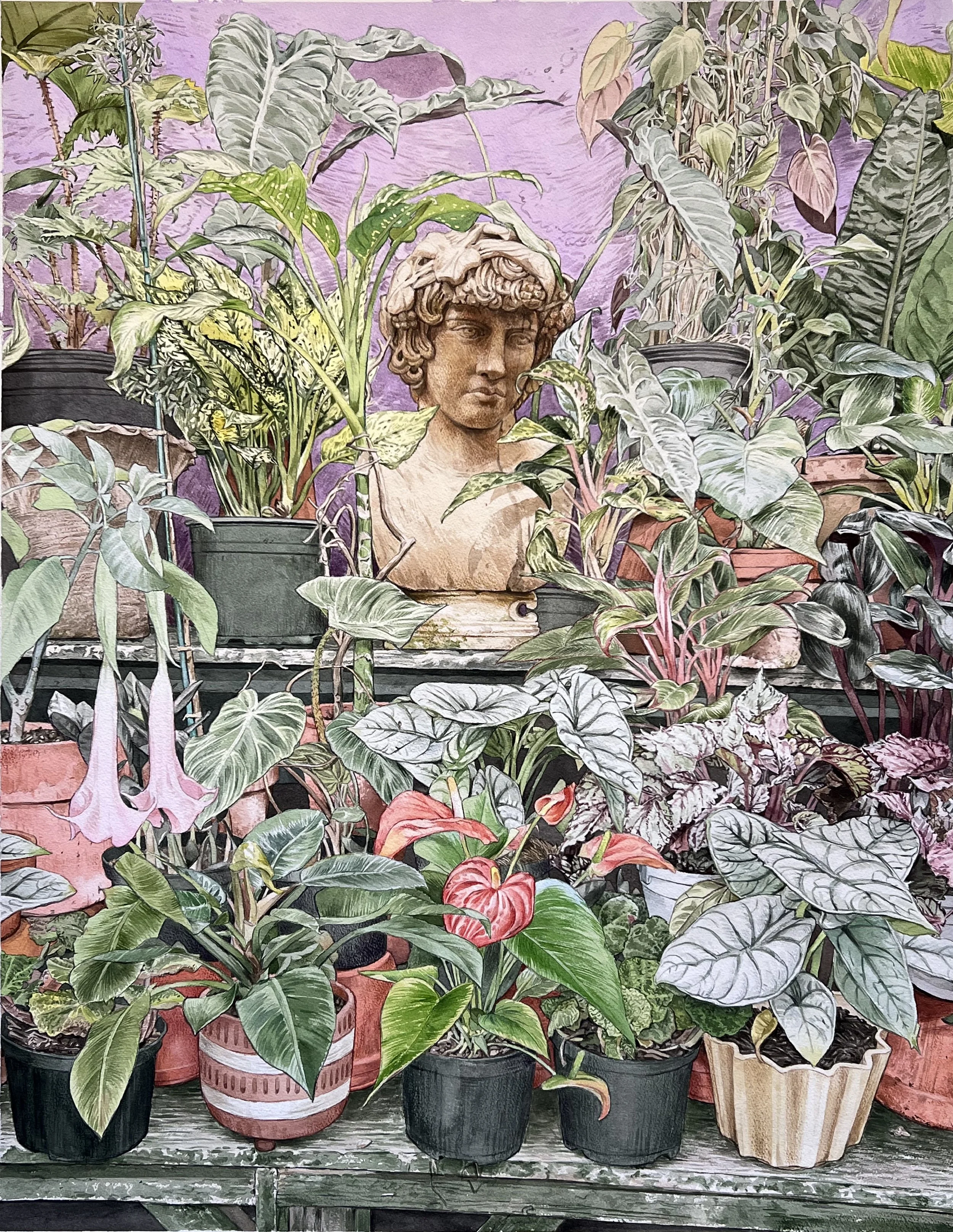 Angel's Trumpet, 2026, 28.5"X37", watercolor and graphite on paper.