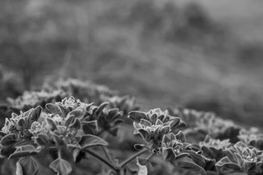 jg_20100901-5.jpg
