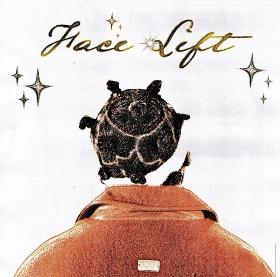 Face Lift - KTOE